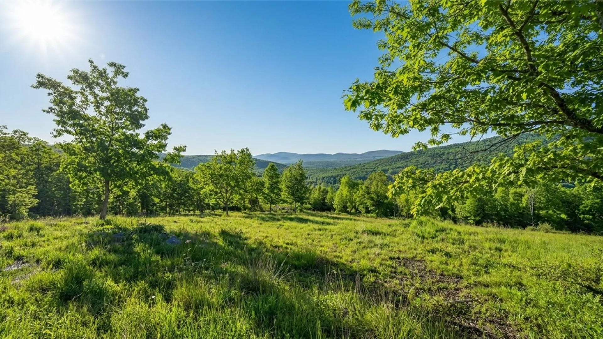 Property at 10.10 Cheese Hill Road, Rensselaerville, NY 12147 9
