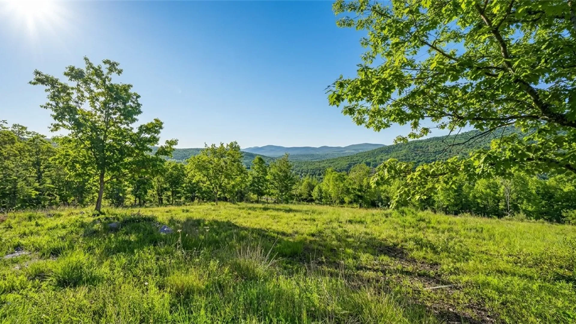 Property at 10.10 Cheese Hill Road, Rensselaerville, NY 12147 12