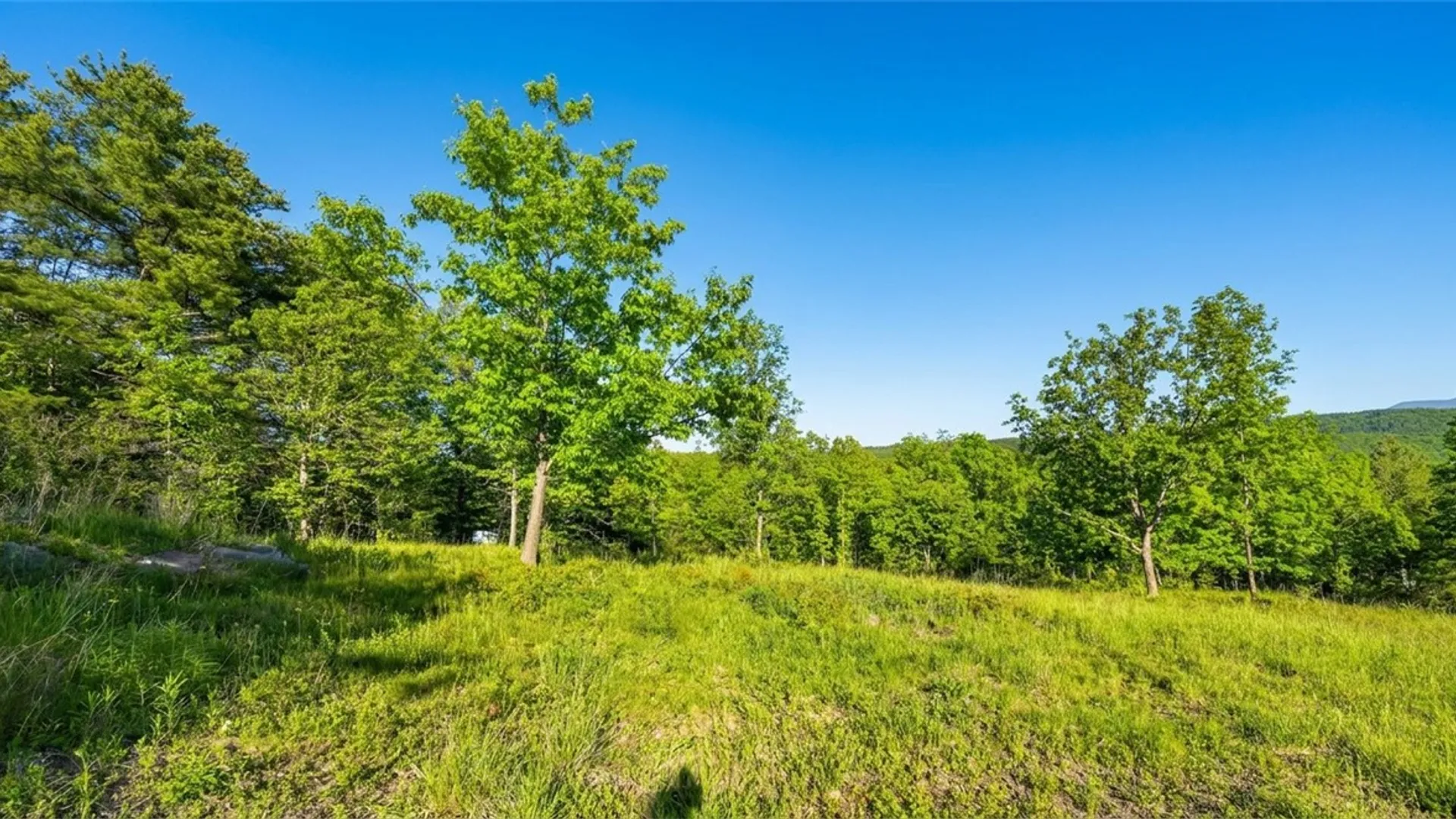 Property at 10.10 Cheese Hill Road, Rensselaerville, NY 12147 13