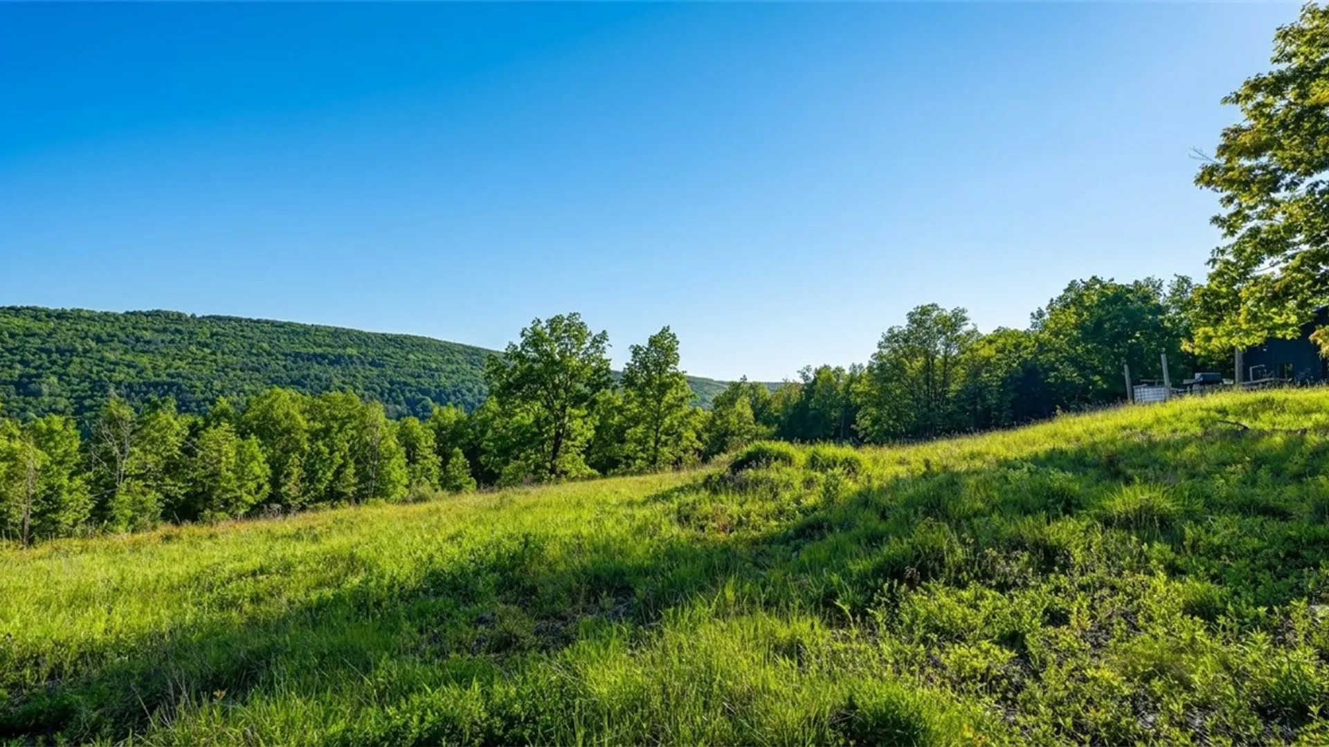 Property at 10.10 Cheese Hill Road, Rensselaerville, NY 12147 14