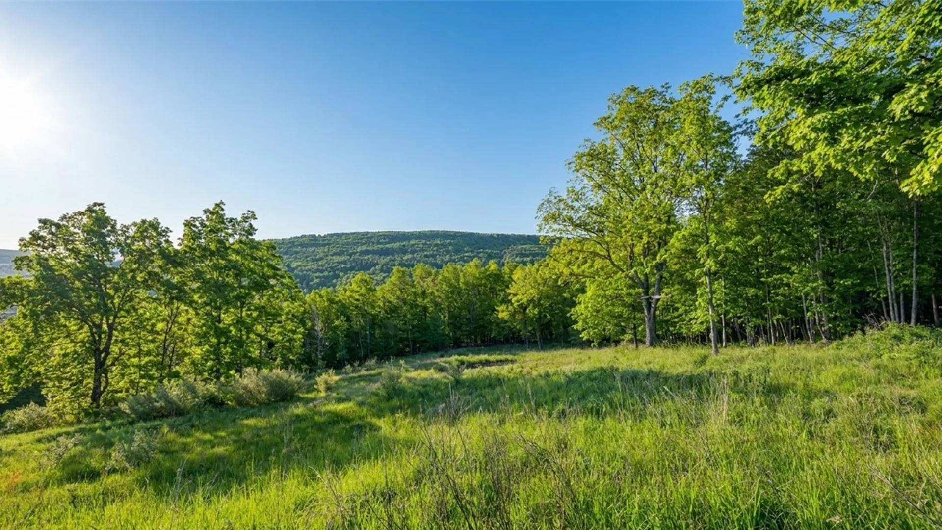 Property at 10.10 Cheese Hill Road, Rensselaerville, NY 12147 25