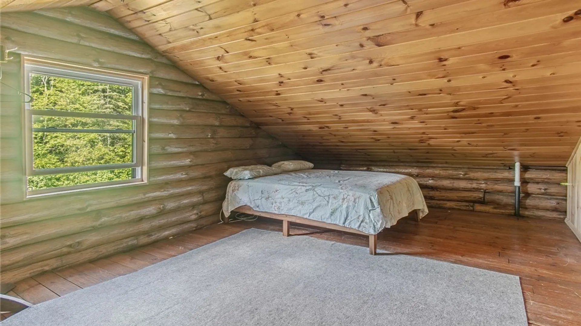 Property at 13330 Henry Road, Diana, NY 13665 28