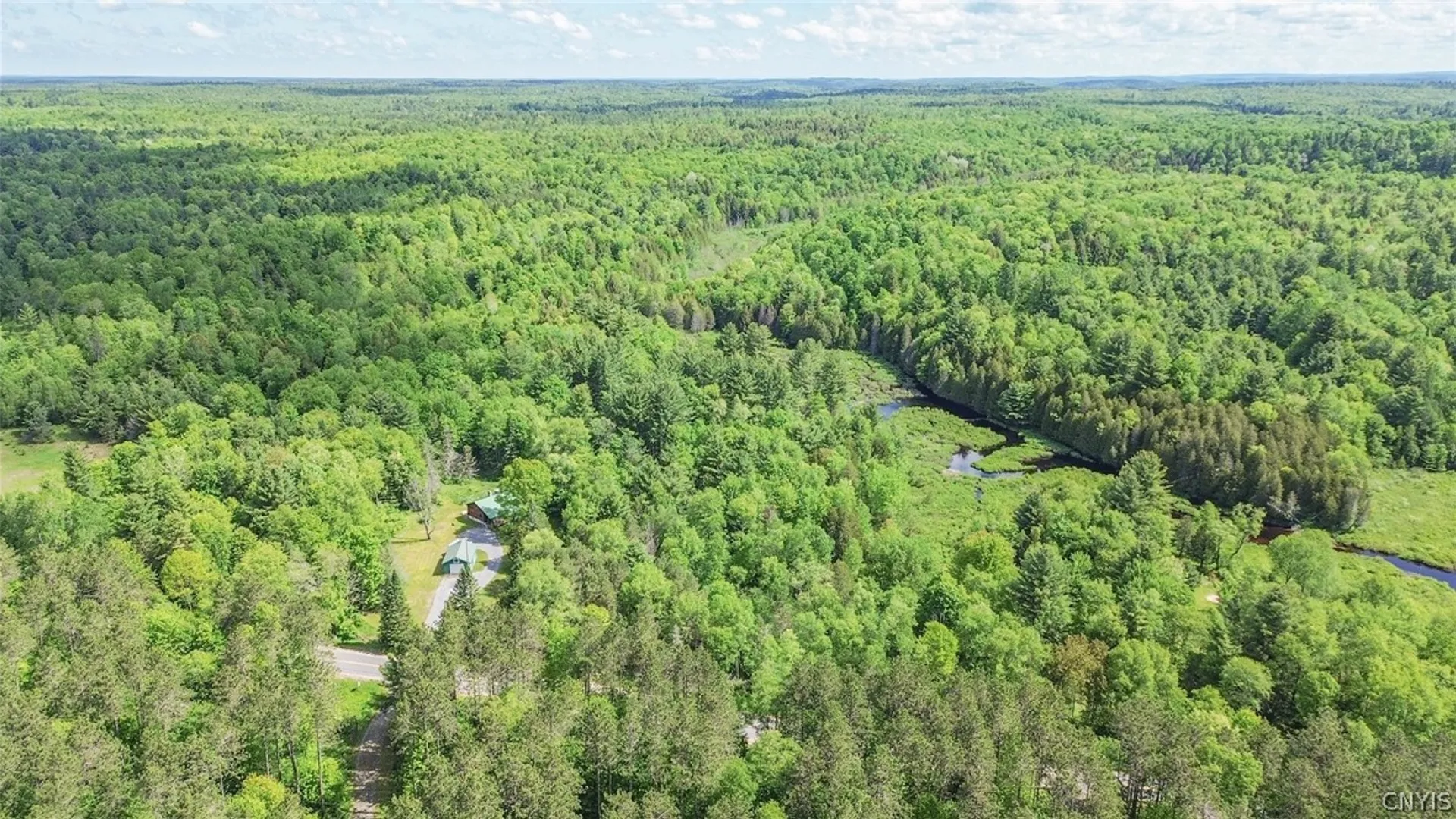 Property at 13330 Henry Road, Diana, NY 13665 38