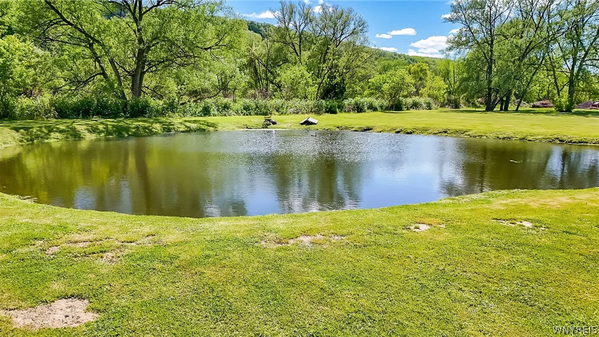 Property at 9741 Route 446, Cuba, NY 14727 16