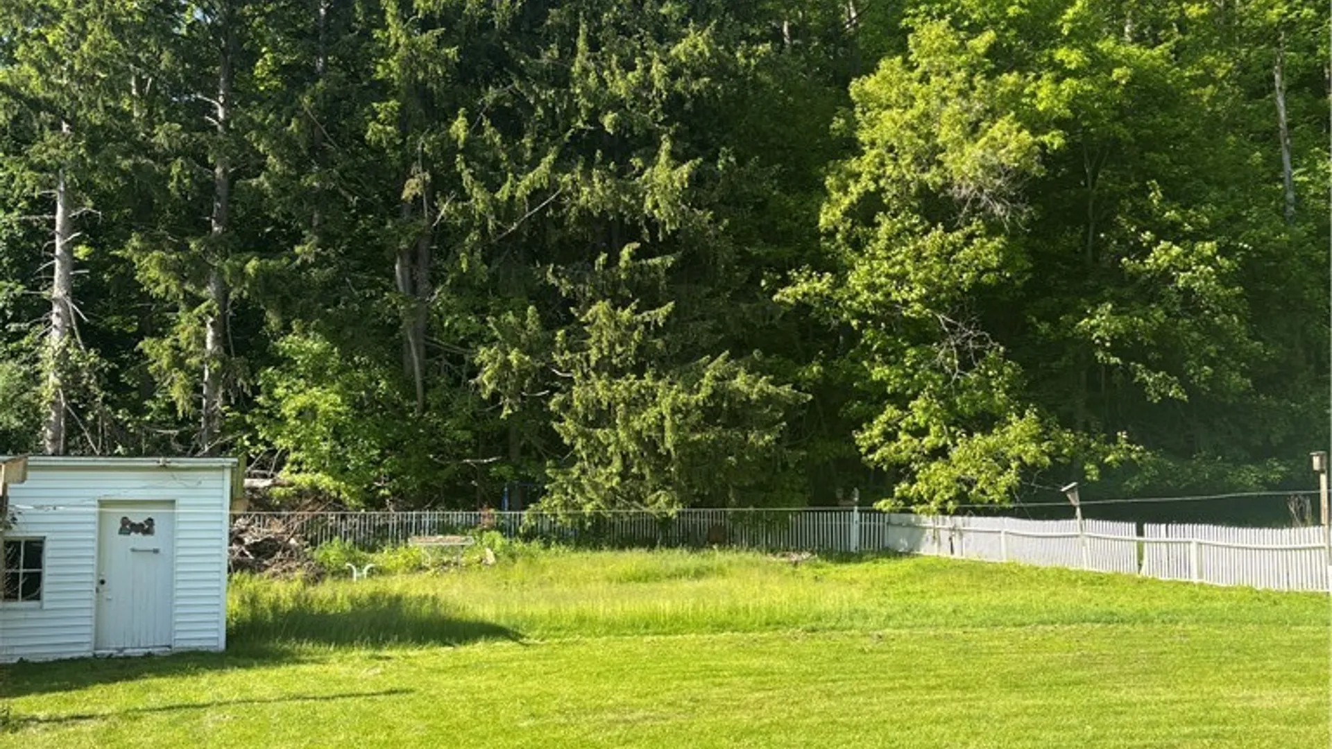 Property at 12358 Big Tree Road, Wales, NY 14169 19