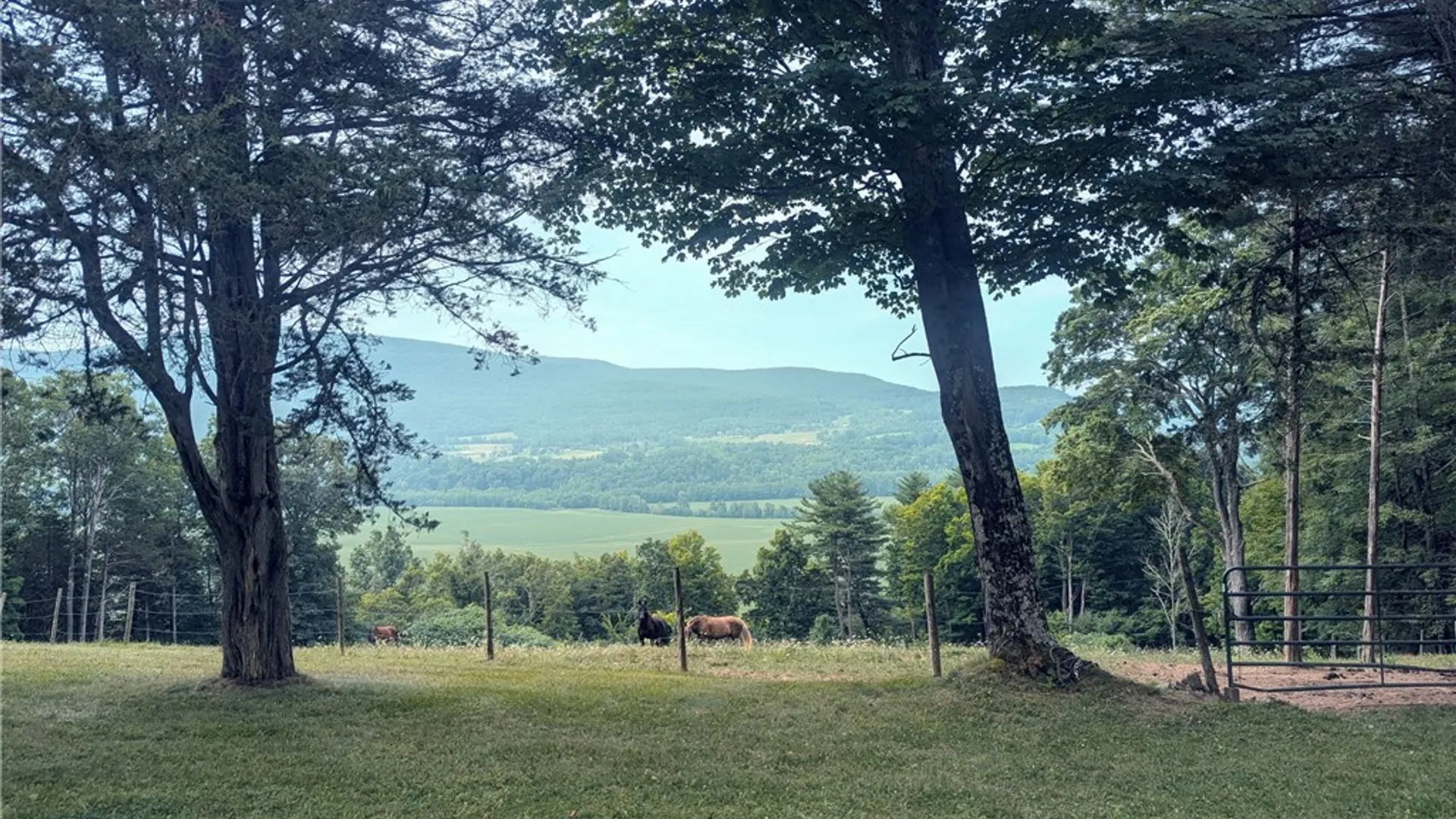 Property at 200 Onistagrawa Lane, Fulton, NY 12122 3