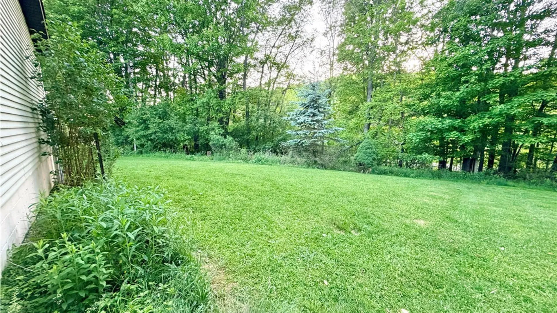Property at 2980 Wolf Run Road, Clarksville, NY 14727 45