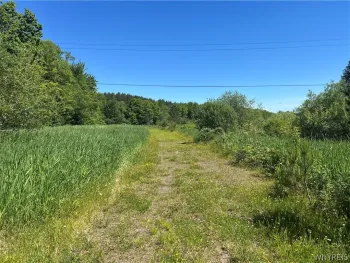 Property at Warner Hill Road, Wales, NY 14169