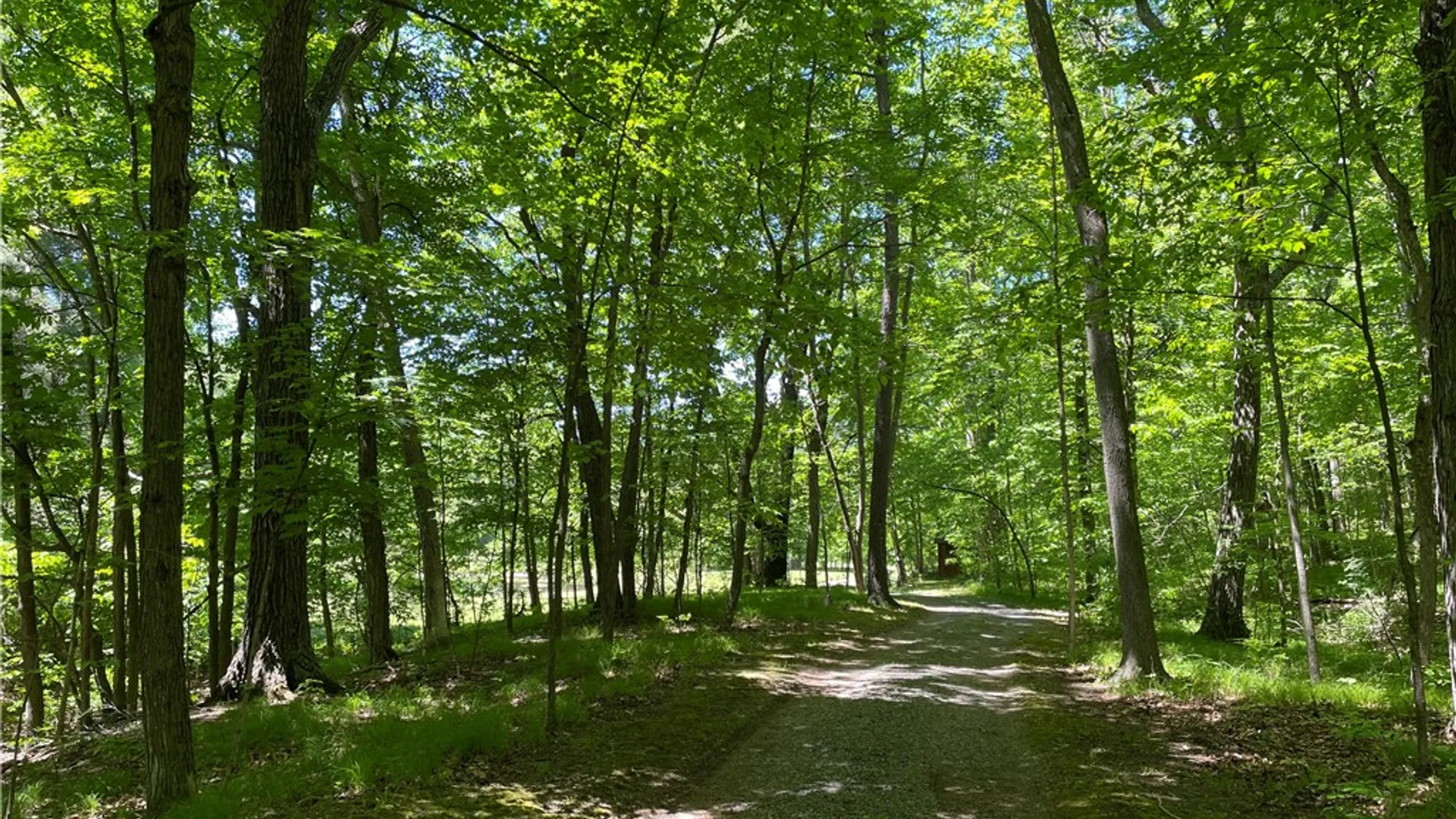 Property at 5087 Hagerty Rd, Middlesex, NY 14507 33