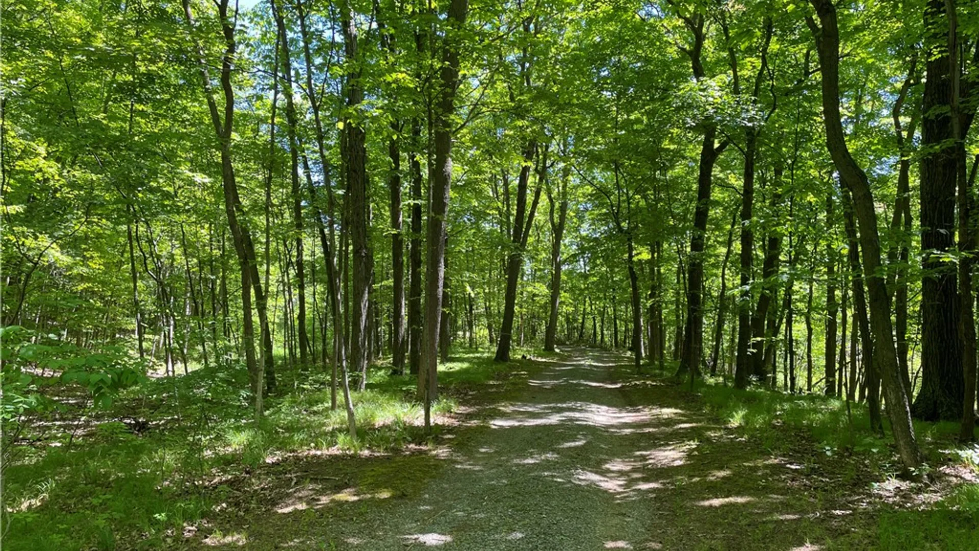 Property at 5087 Hagerty Rd, Middlesex, NY 14507 34
