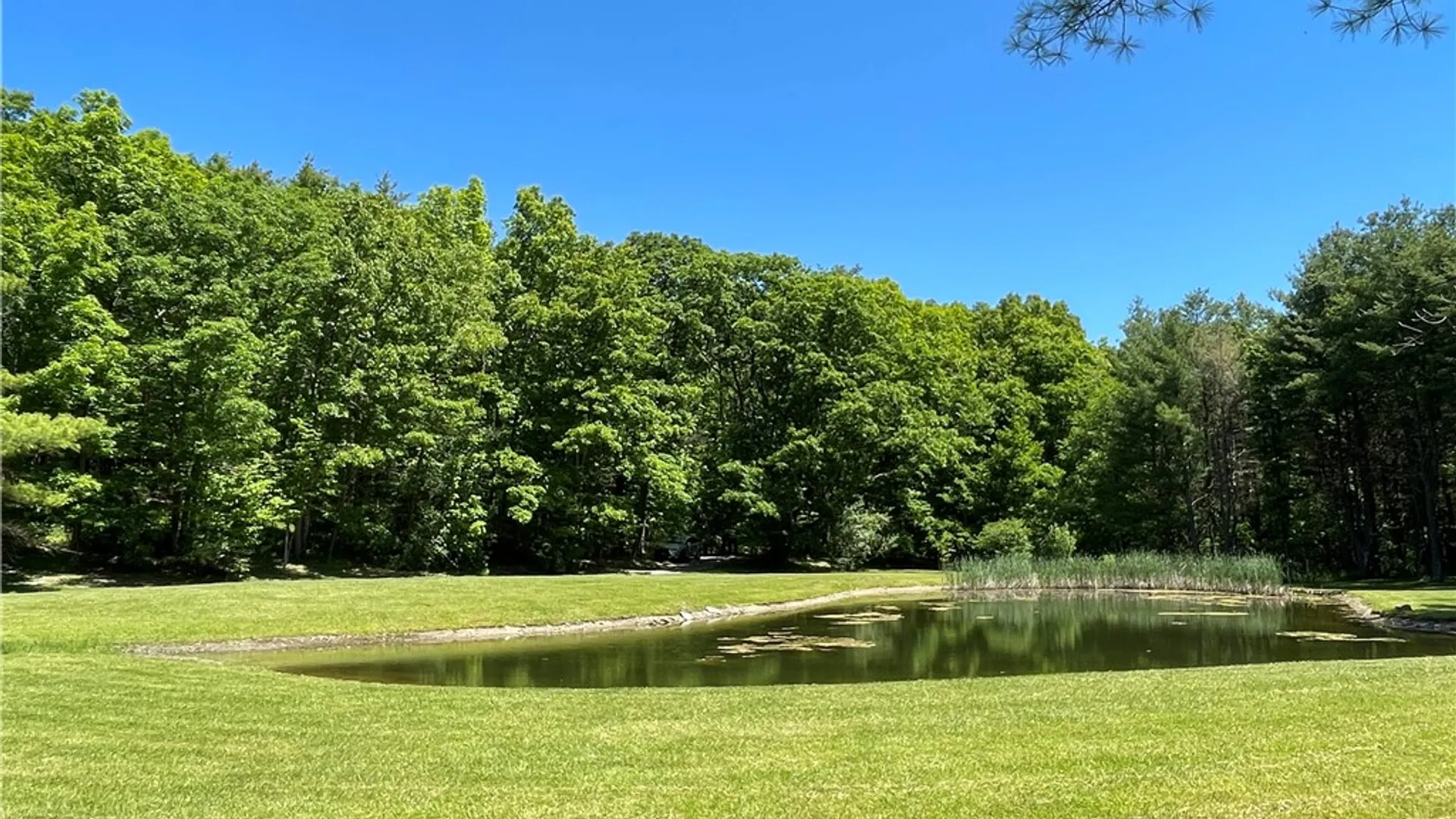 Property at 5087 Hagerty Rd, Middlesex, NY 14507 31