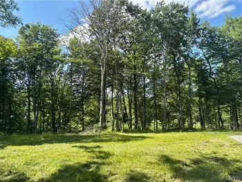 Property at Olin Road, Montague, NY 13367