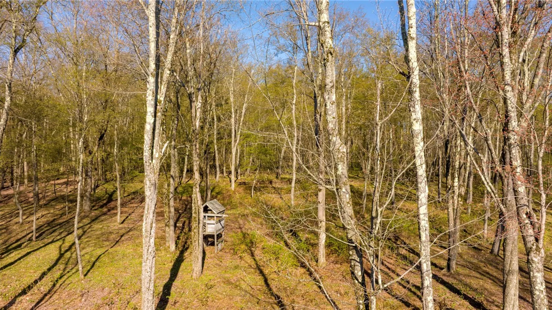 Property at 251 Goodwin Lane, Guilford, NY 13780 36