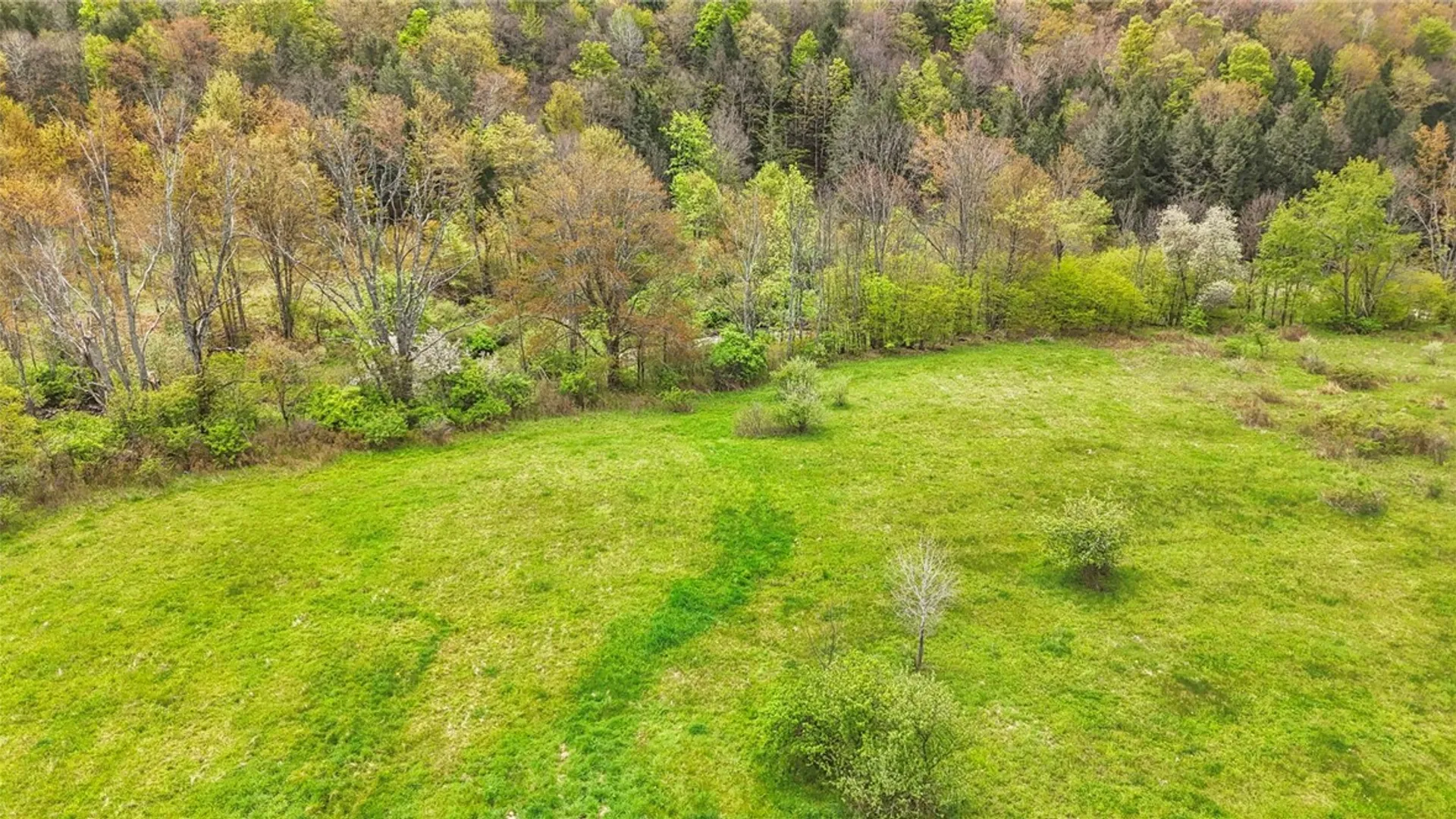 Property at 1432 Newark Valley Maine Road, Newark Valley, NY 13811 9