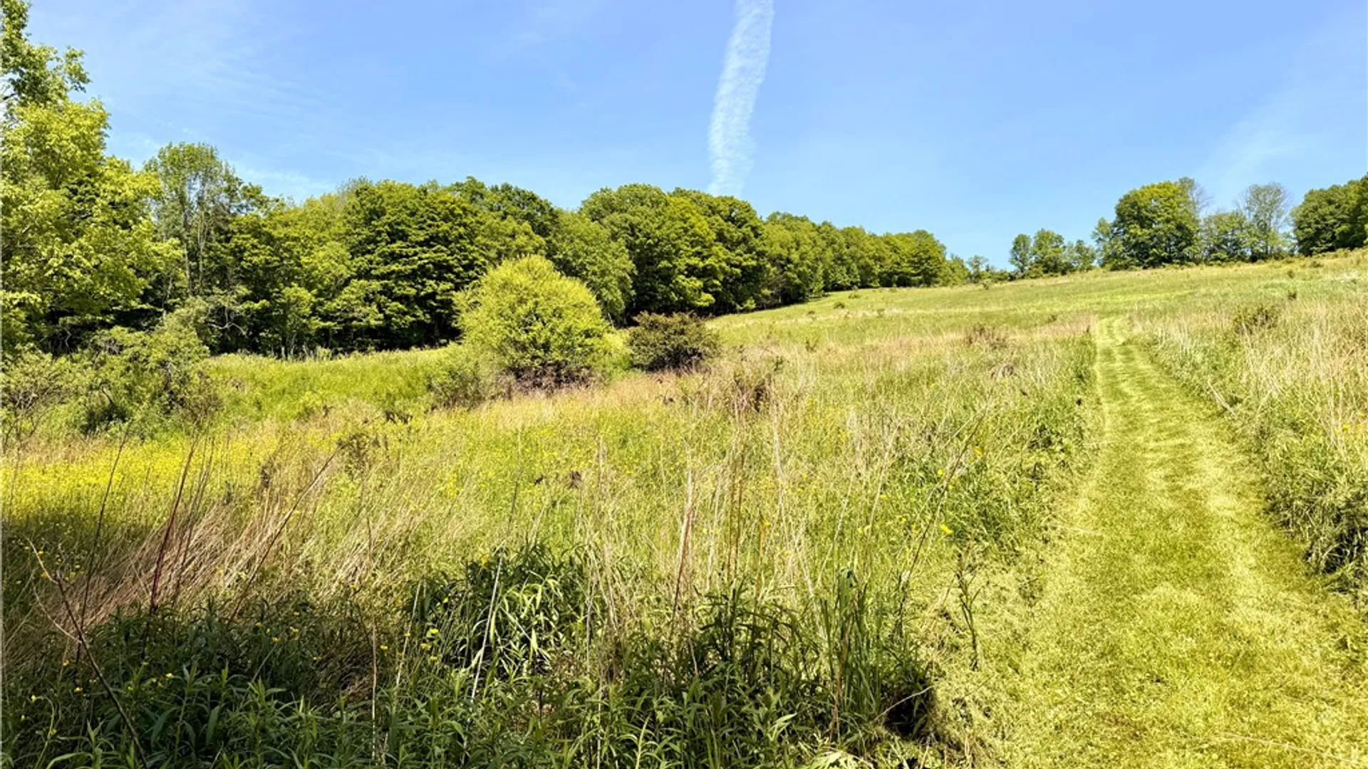 Property at 3090 County Highway 4, Butternuts, NY 13843 36