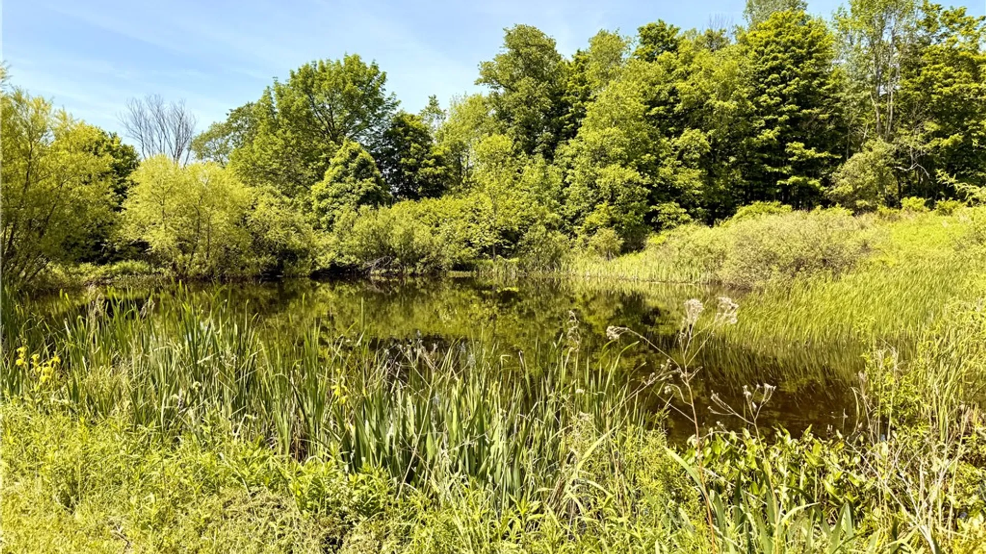 Property at 3090 County Highway 4, Butternuts, NY 13843 39