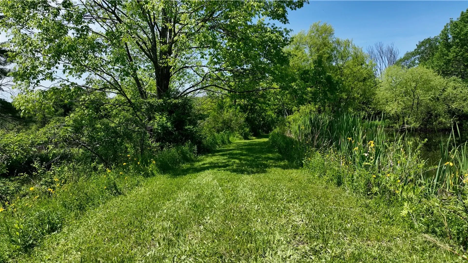 Property at 3090 County Highway 4, Butternuts, NY 13843 38