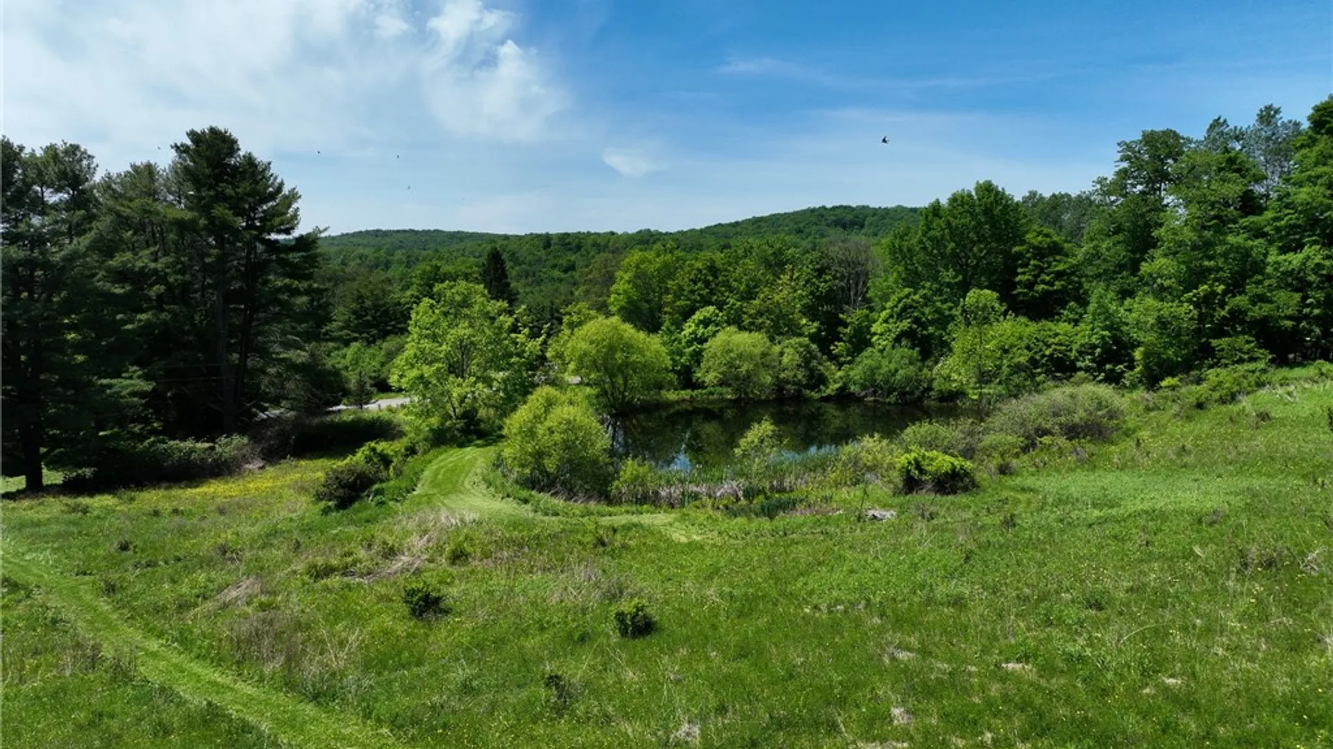 Property at 3090 County Highway 4, Butternuts, NY 13843 43