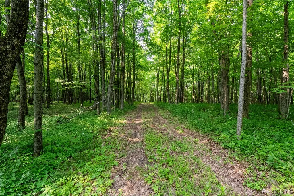 Property at Cummings Road, Sandy Creek, NY 13083