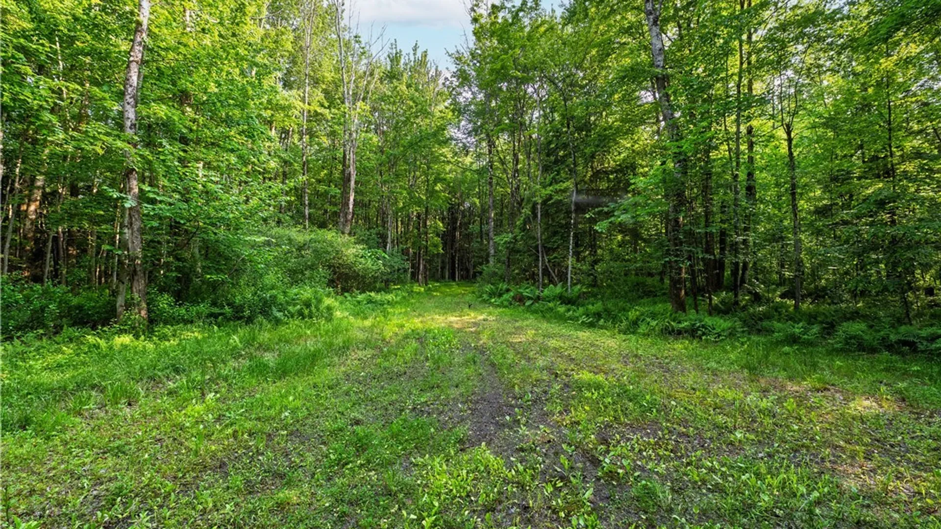 Property at Cummings Road, Sandy Creek, NY 13083 6