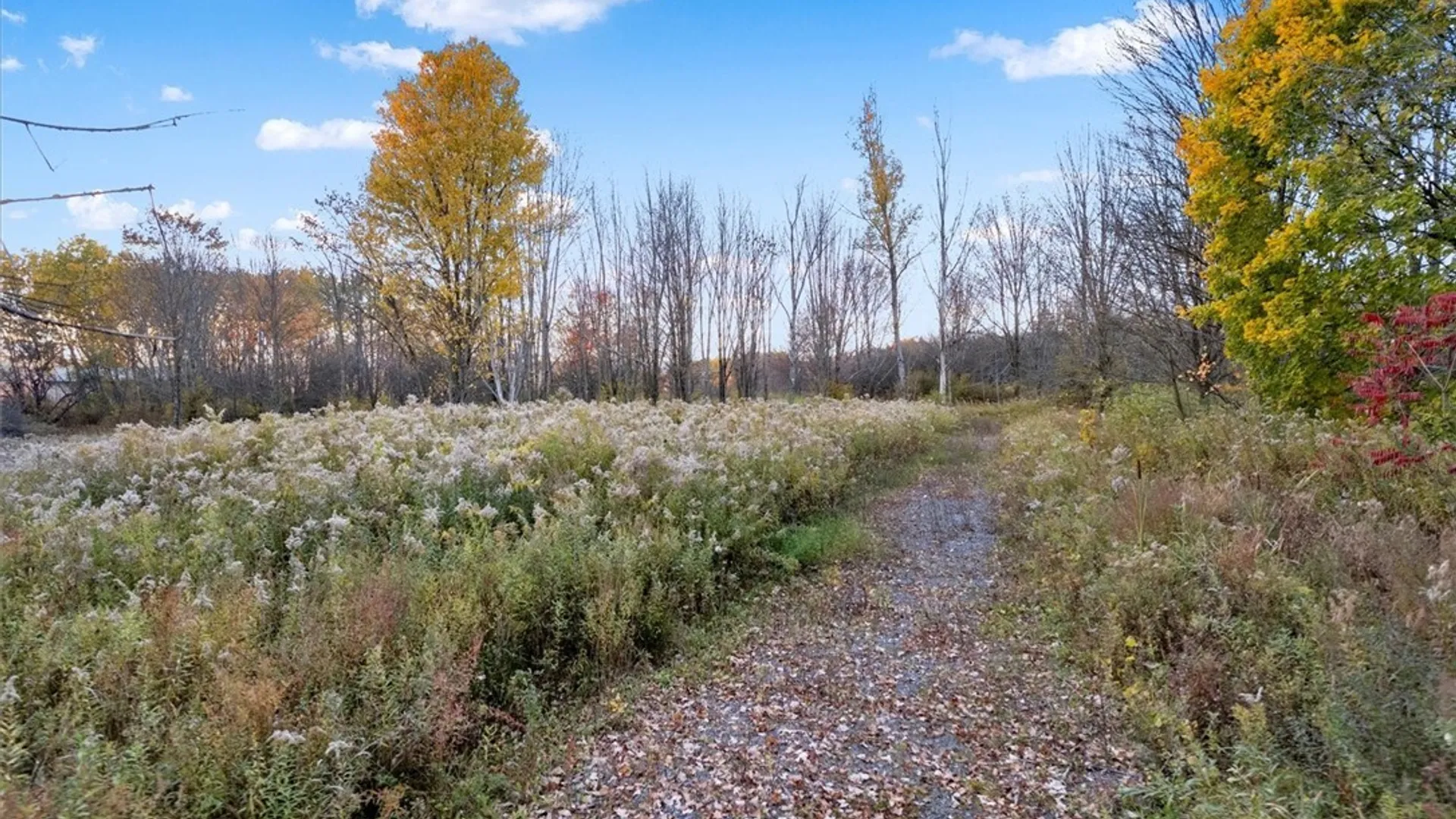 Property at 6101 Cavanaugh Road, Marcy, NY 13403 12