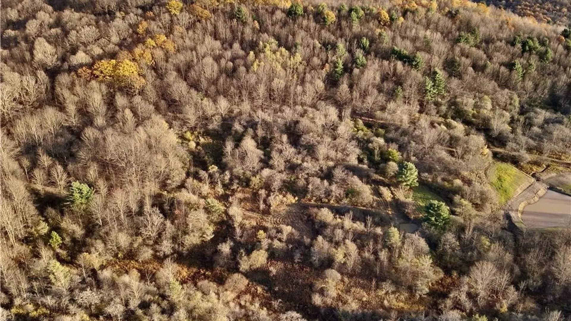 Property at Co Rd 8, Wirt, NY 14739 15