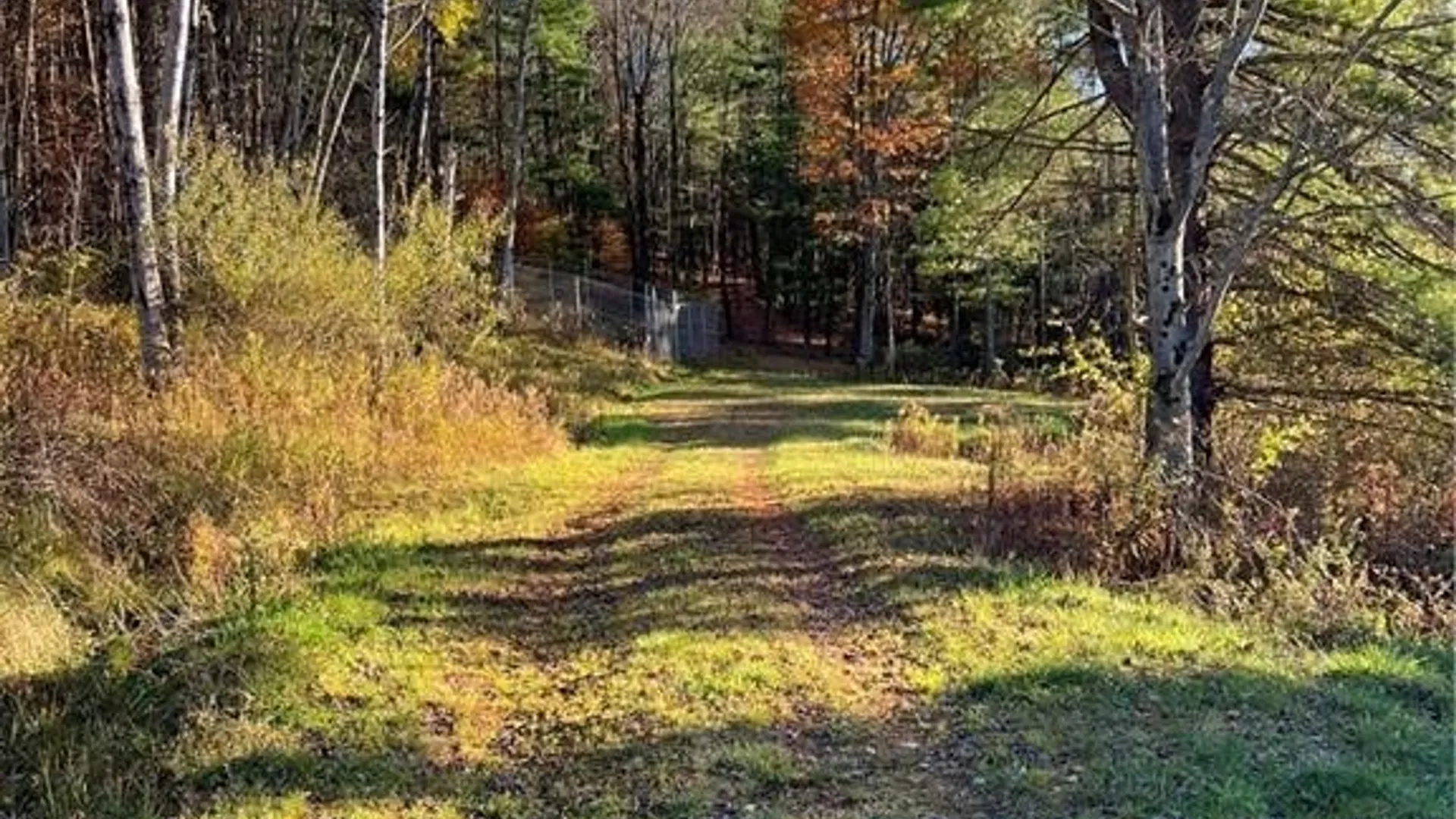 Property at Co Rd 8, Wirt, NY 14739 8