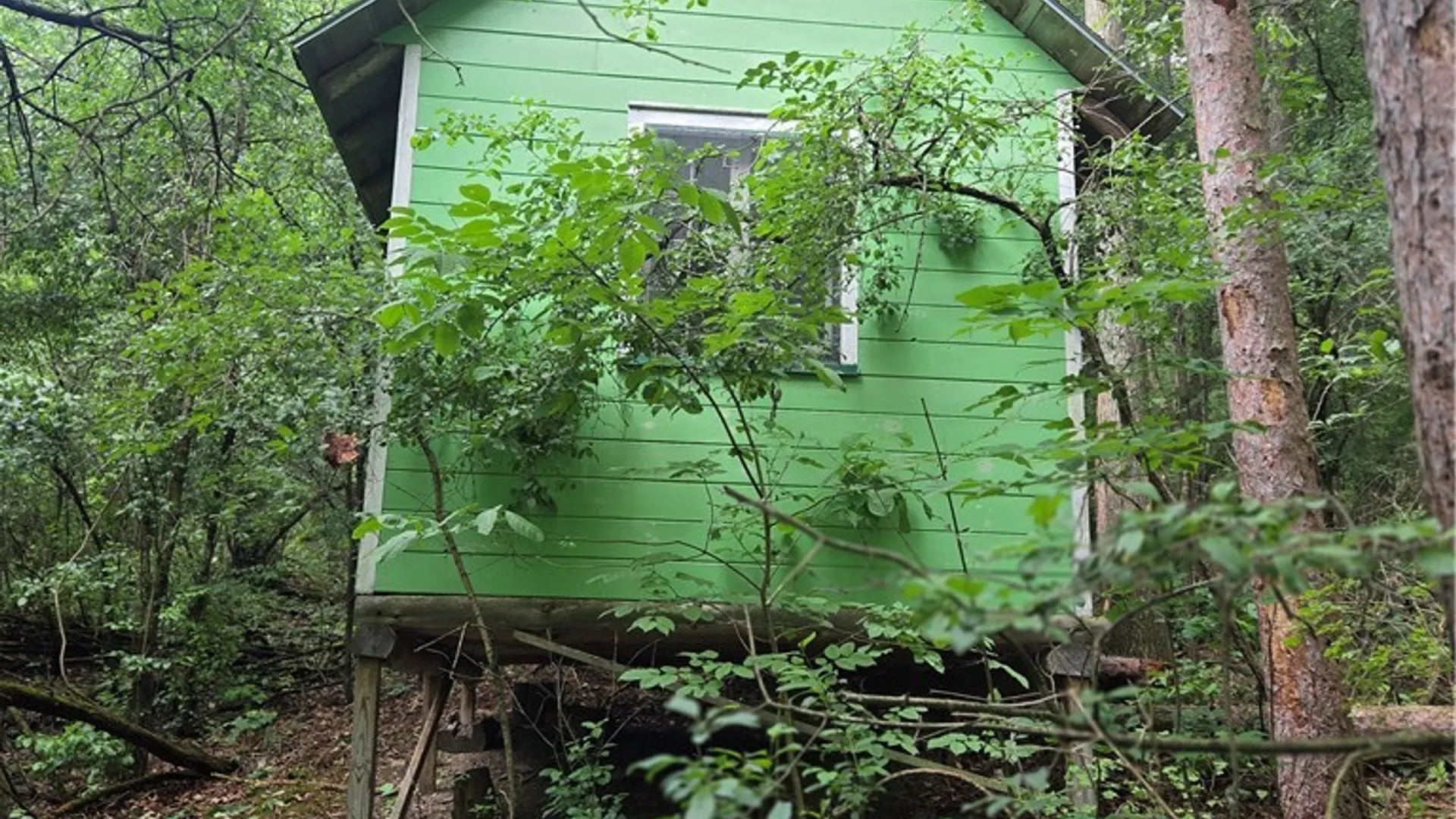 Property at 4140 Decamp Road, Tyrone, NY 14837 49