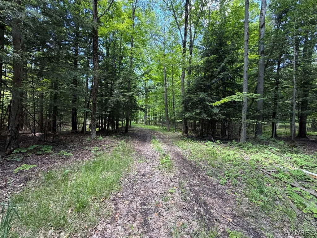 Property at 13800 Pritchard Road, Concord, NY 14141