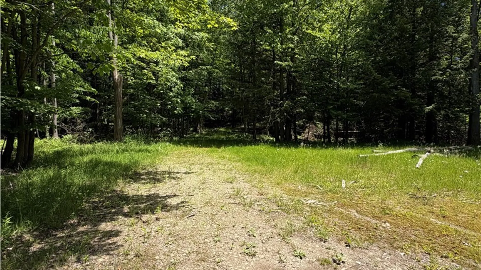 Property at 13800 Pritchard Road, Concord, NY 14141 3