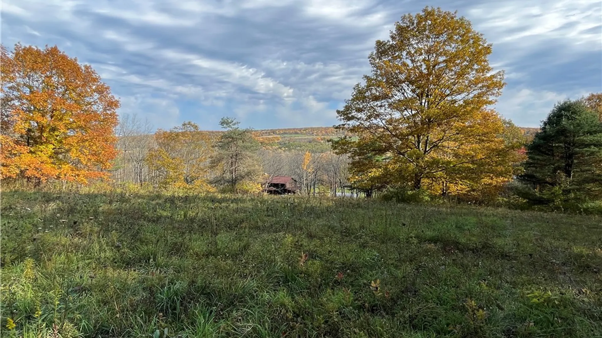 Property at 3921 State Route 226, Tyrone, NY 14837 33