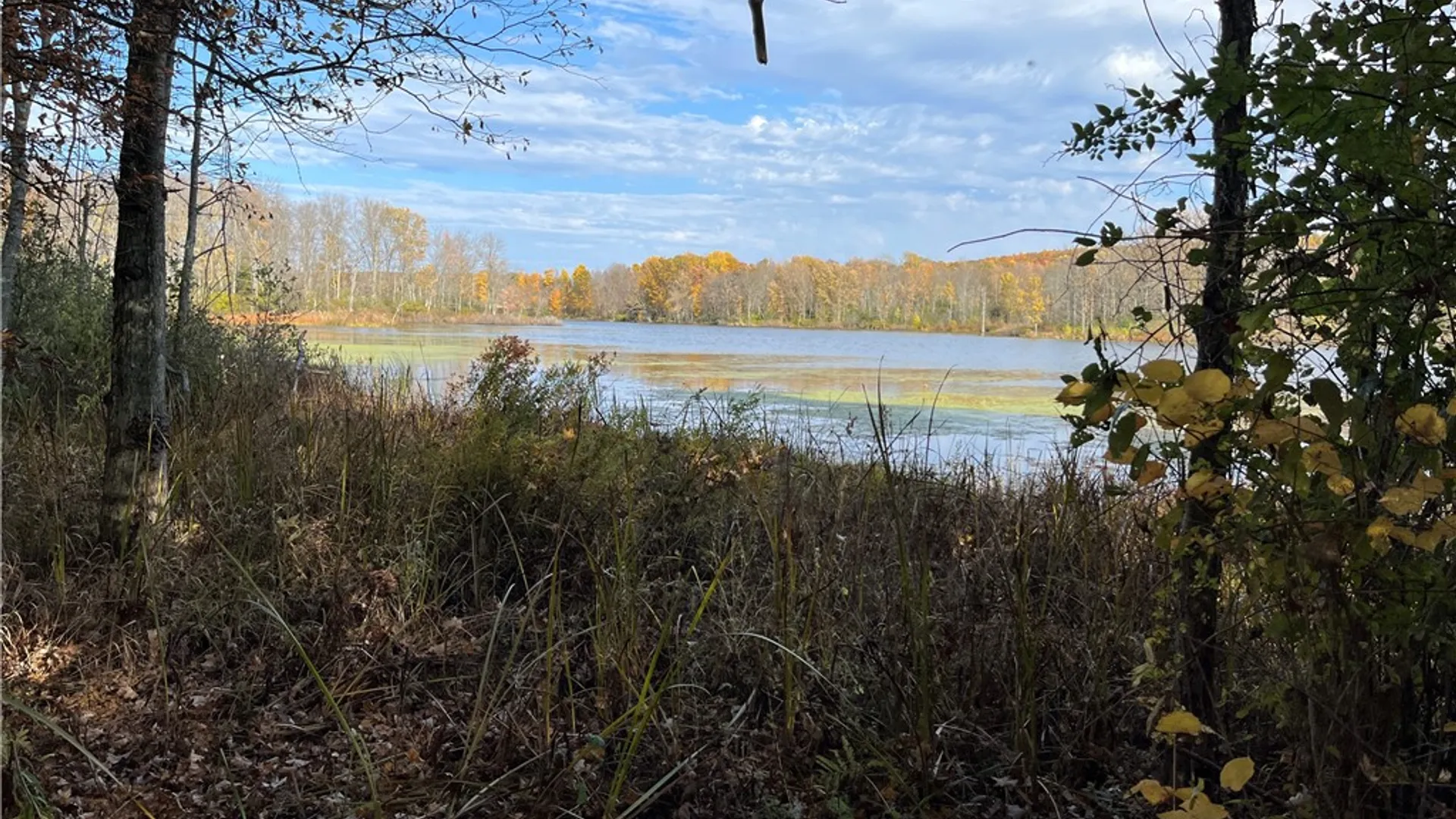 Property at 3921 State Route 226, Tyrone, NY 14837 38