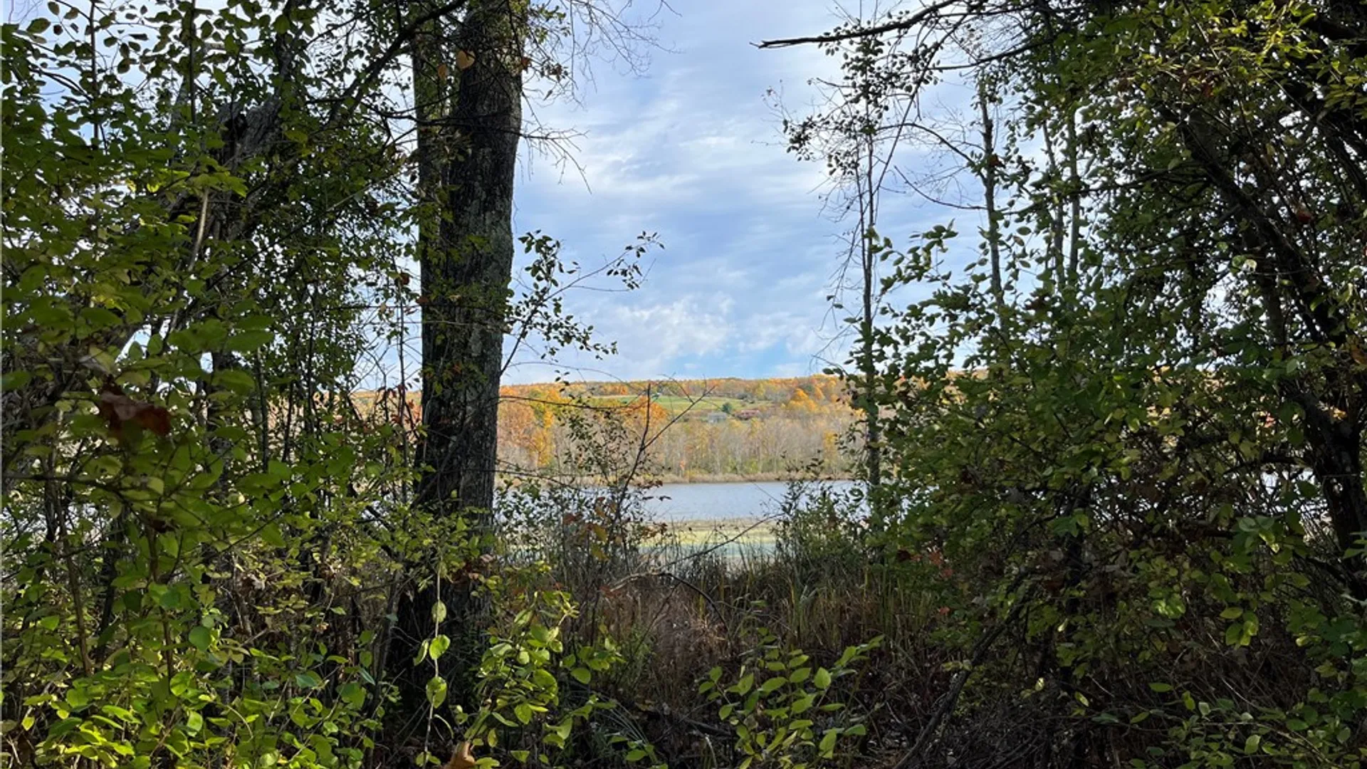 Property at 3921 State Route 226, Tyrone, NY 14837 39