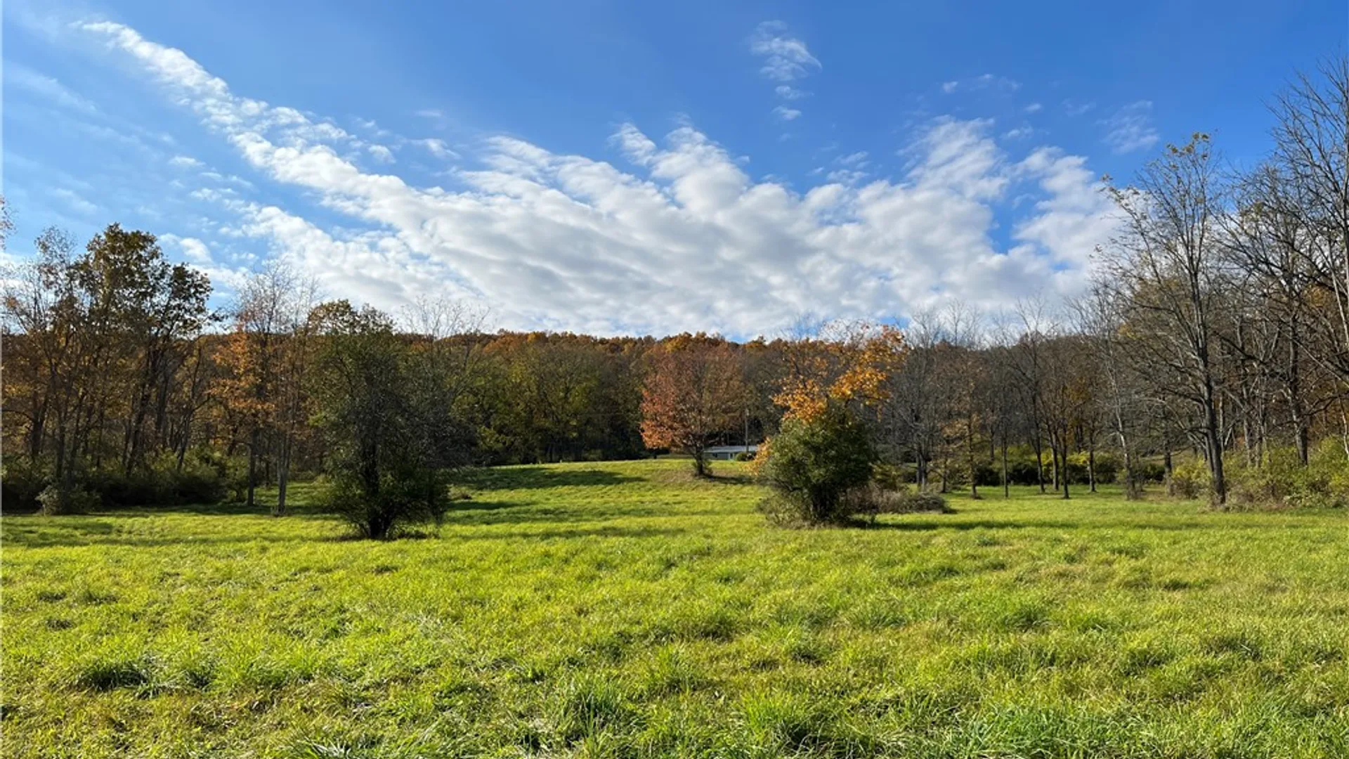 Property at 3921 State Route 226, Tyrone, NY 14837 40