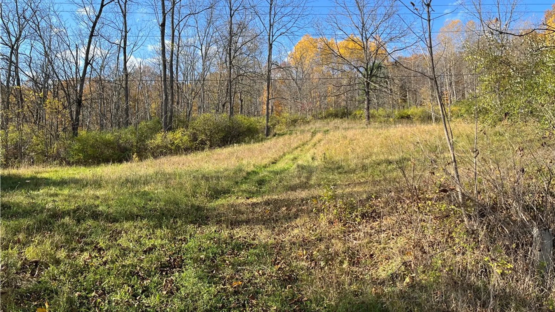Property at 3921 State Route 226, Tyrone, NY 14837 42
