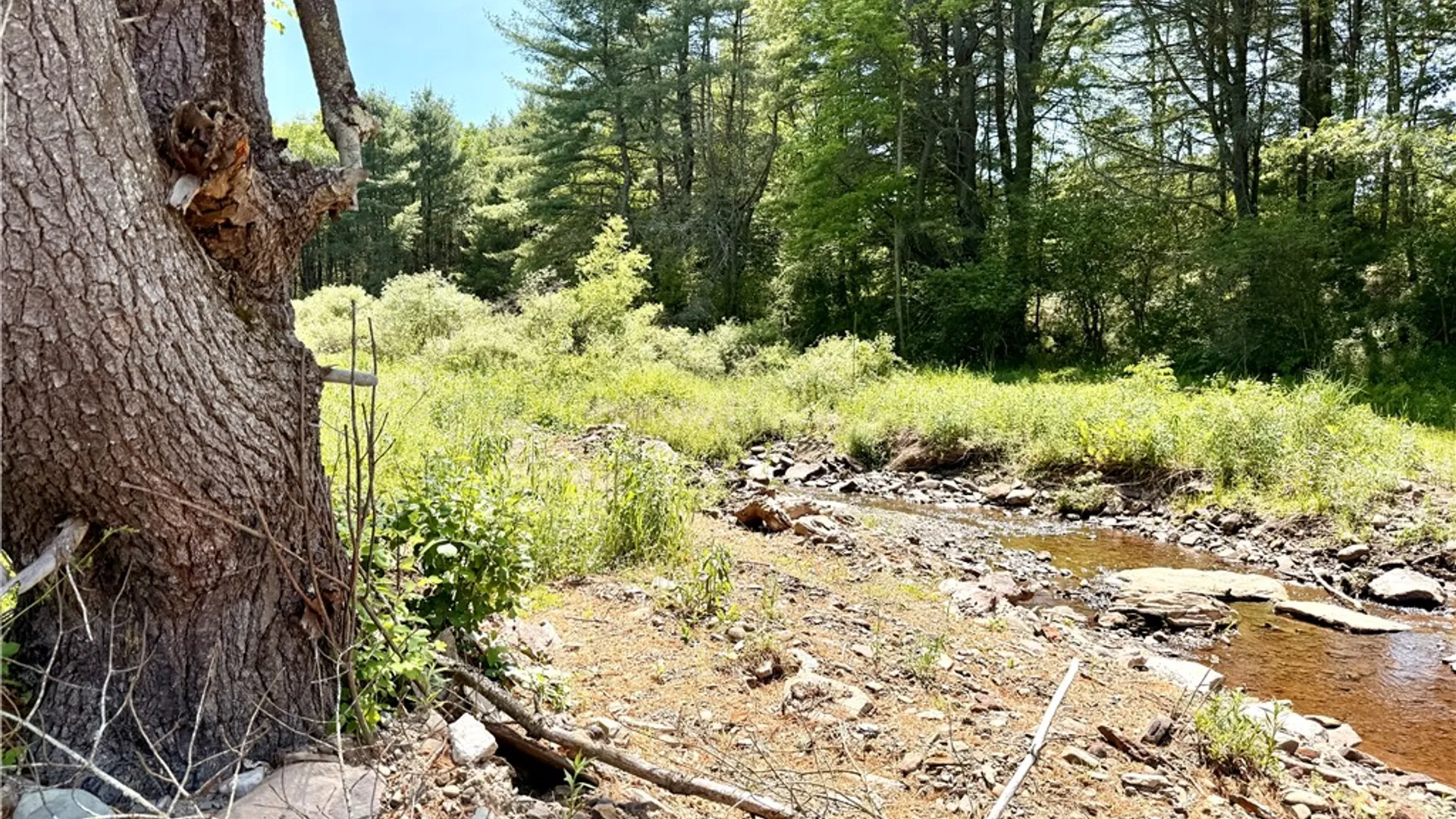 Property at Copes Corners Road, Butternuts, NY 13776 5