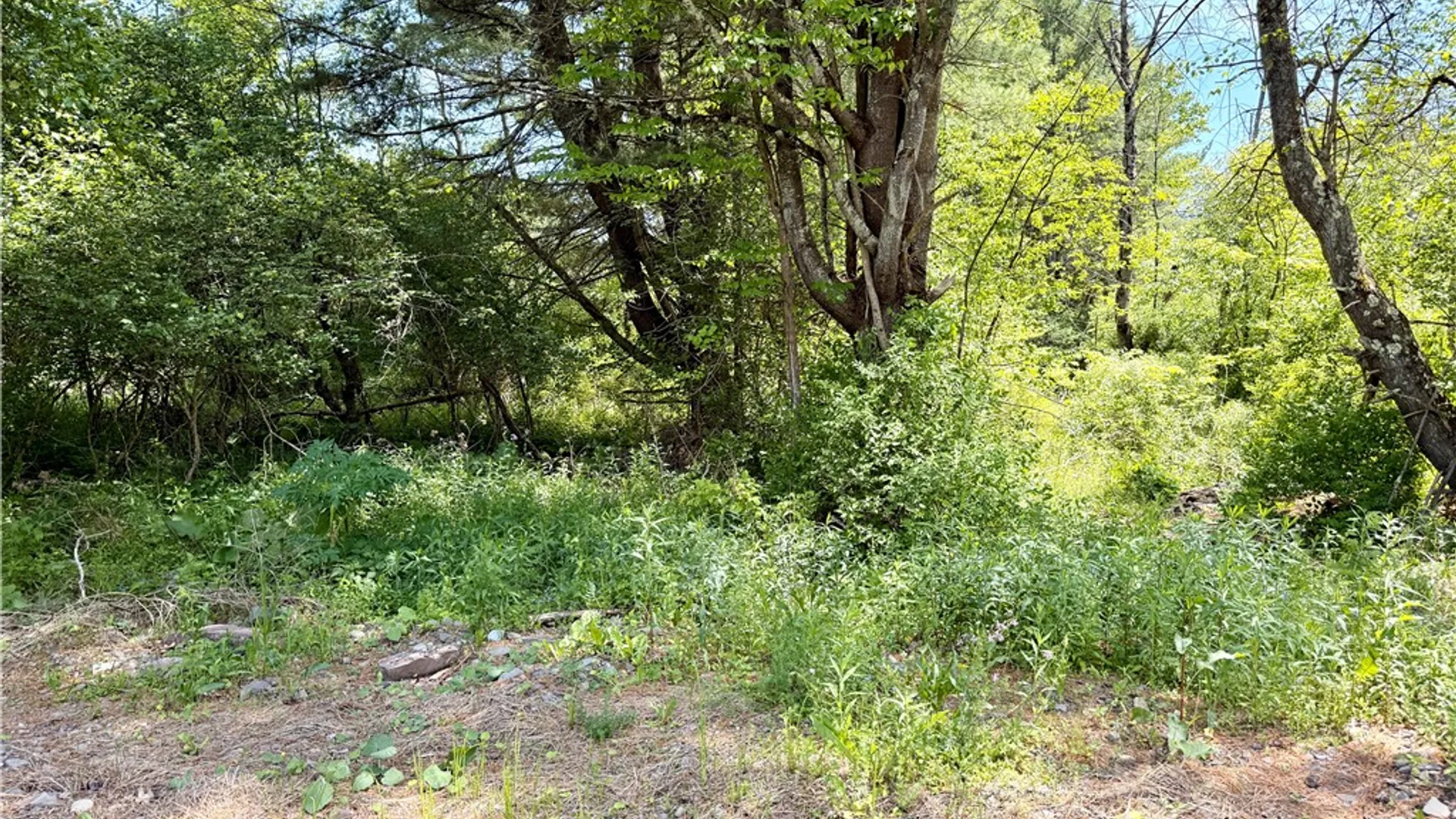 Property at Copes Corners Road, Butternuts, NY 13776 7