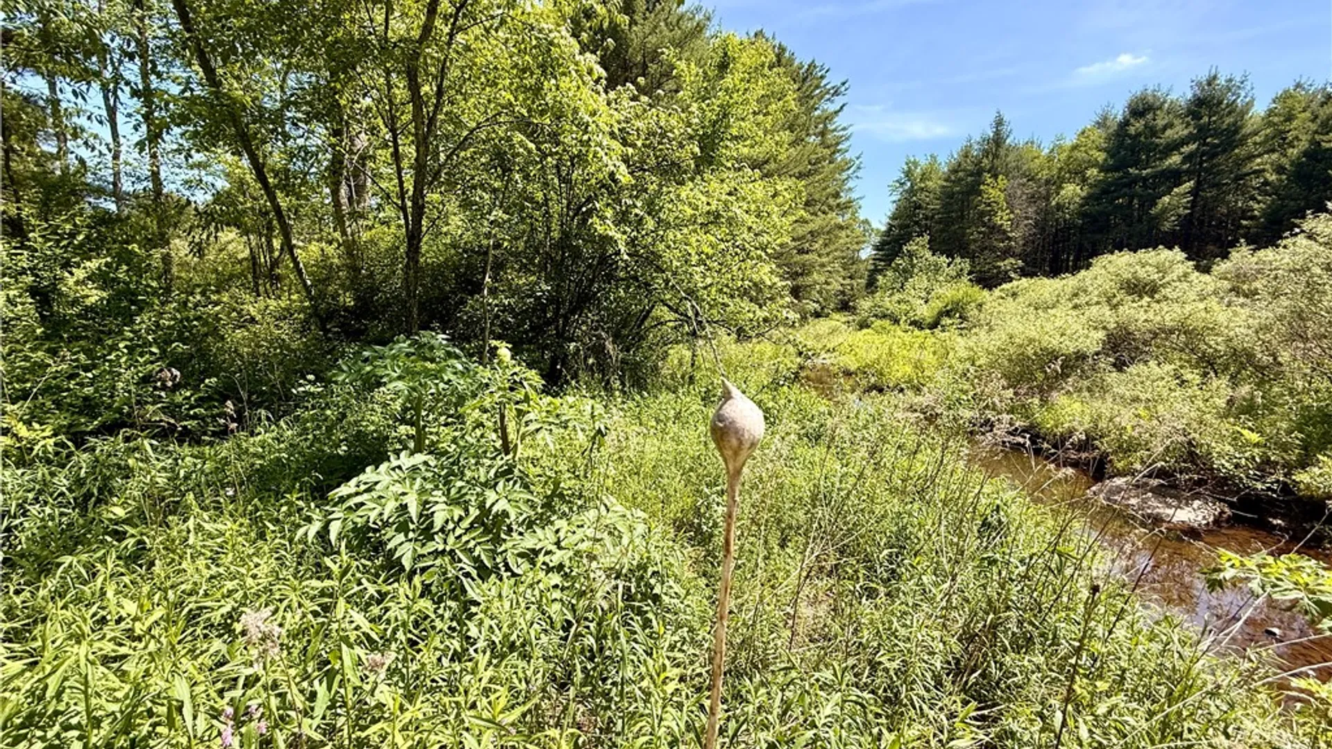 Property at Copes Corners Road, Butternuts, NY 13776 8