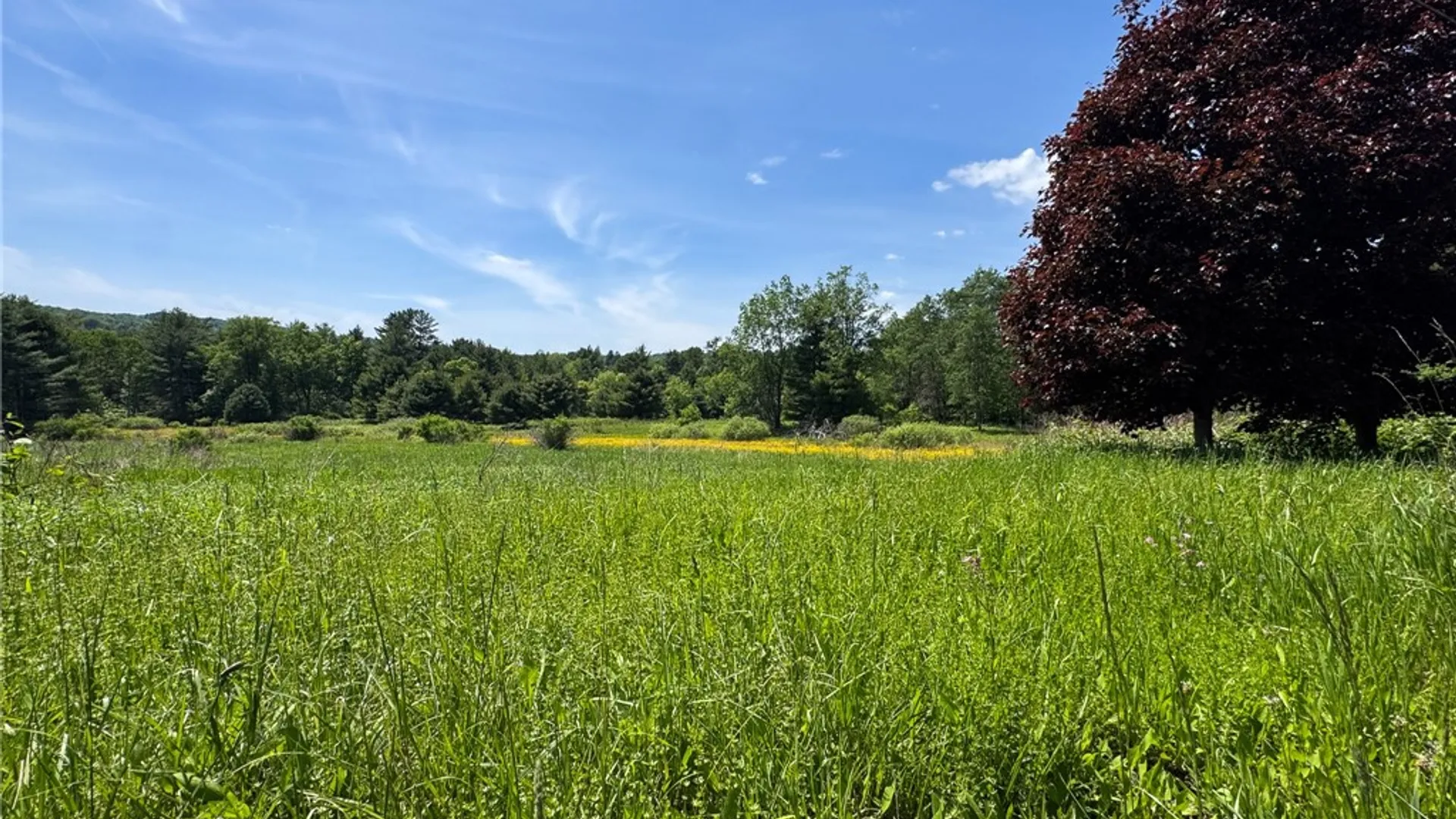 Property at Copes Corners Road, Butternuts, NY 13776 4