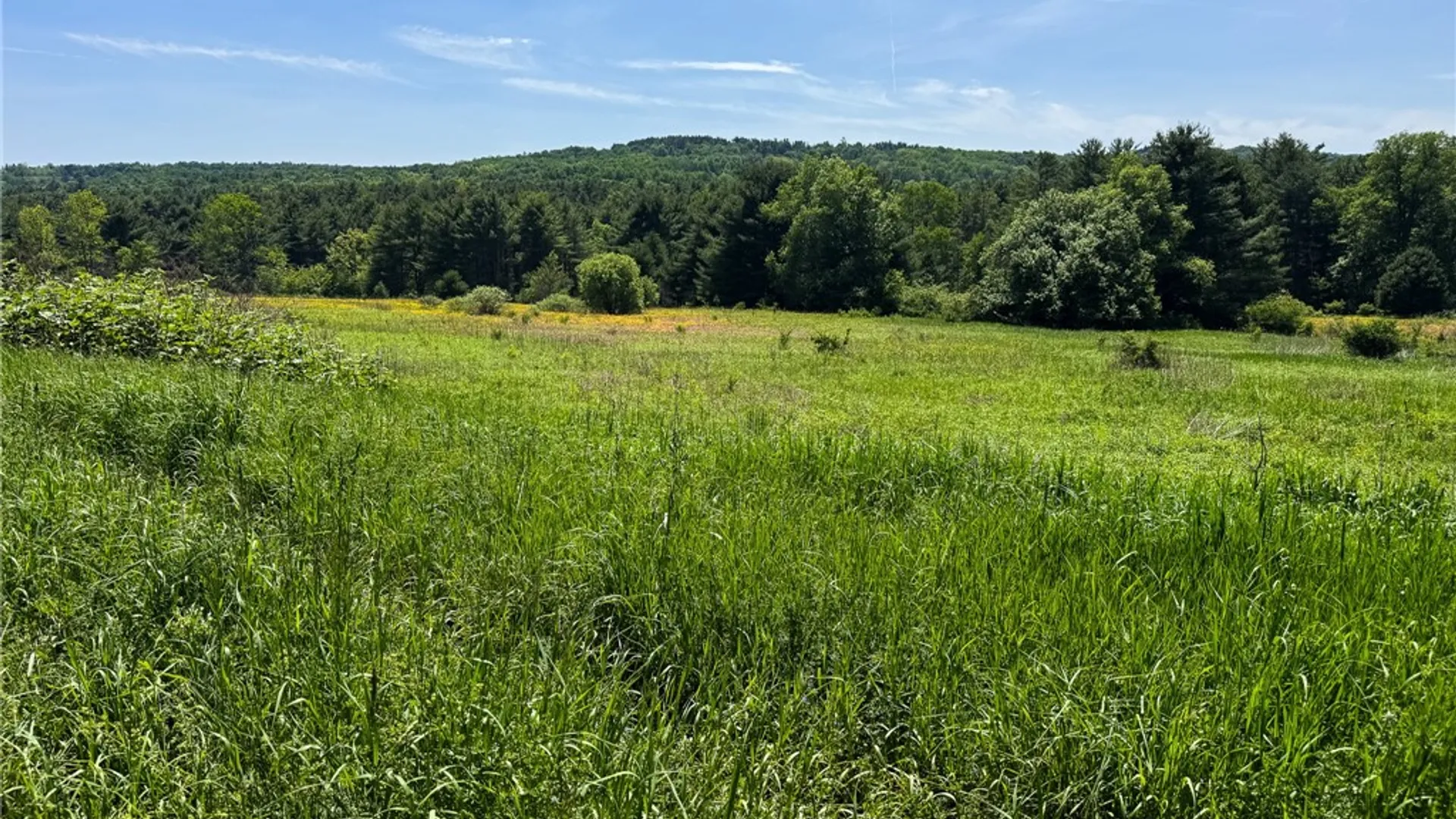 Property at Copes Corners Road, Butternuts, NY 13776 6