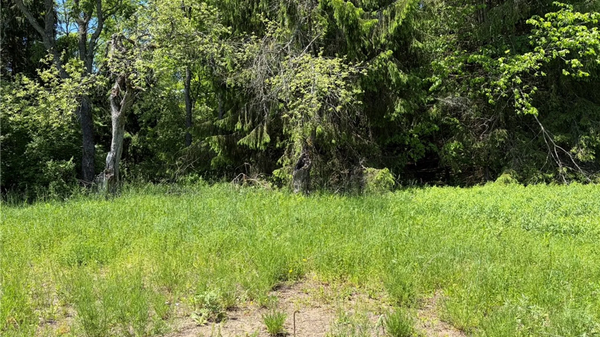 Property at 1369 Military Road, Salisbury, NY 13365 21