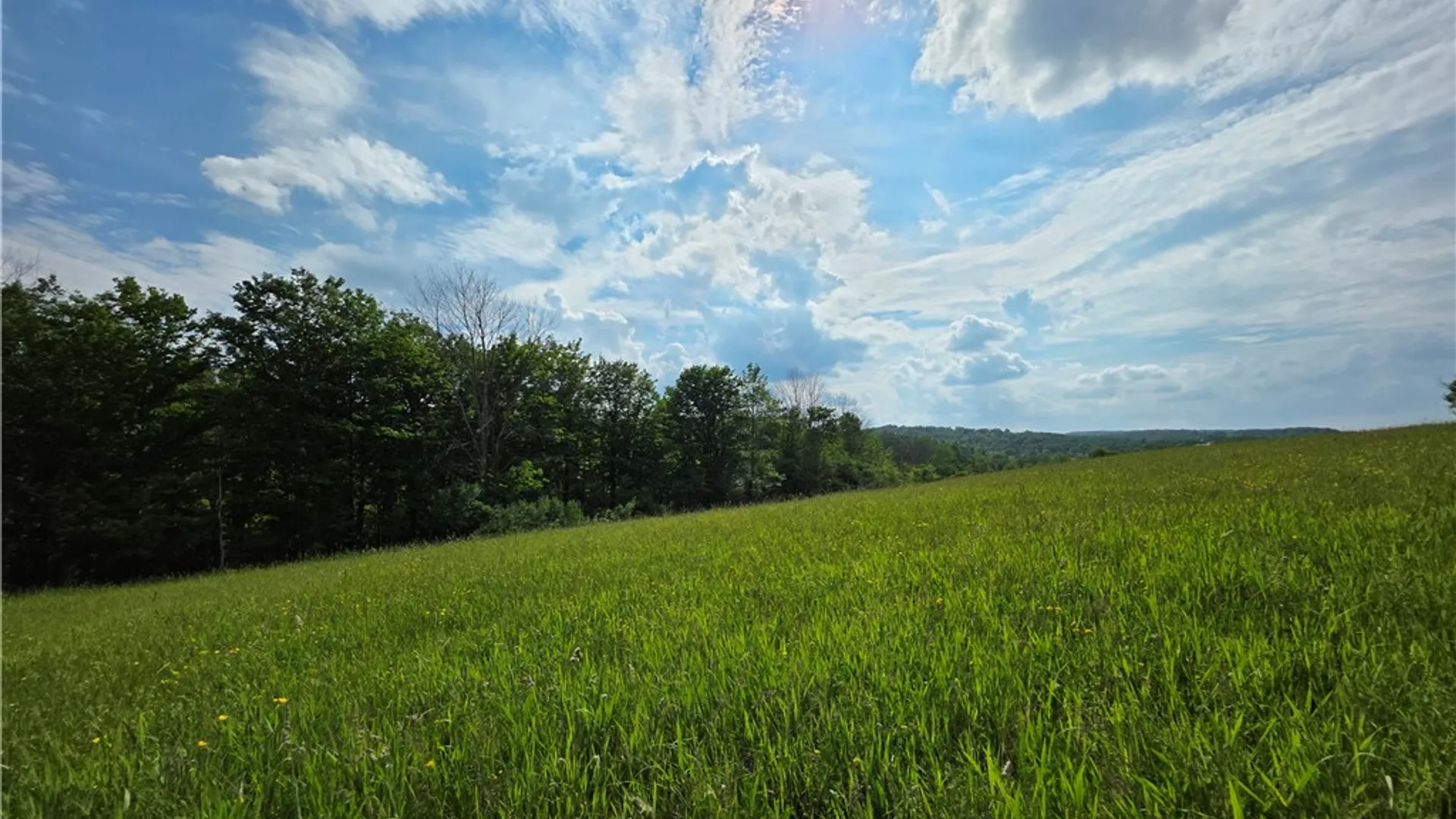 Property at Potter Road, Jasper, NY 14855 11