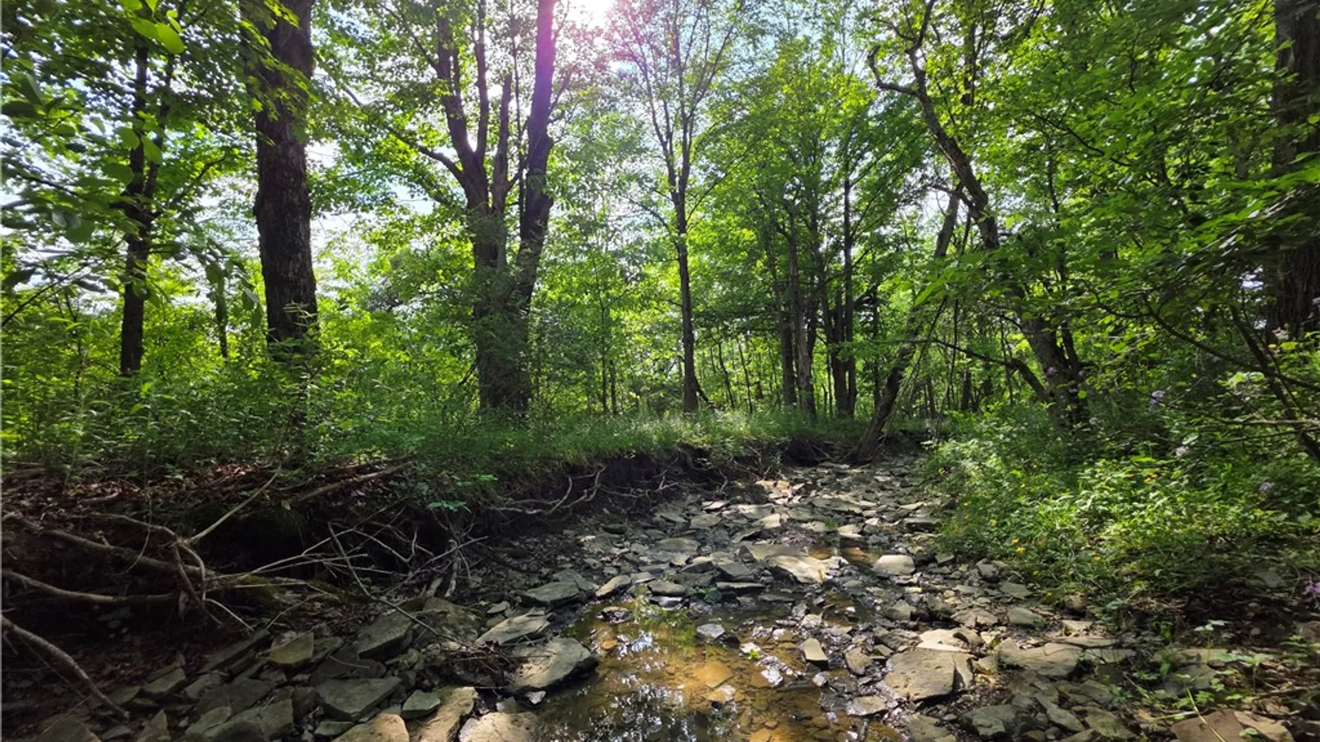 Property at Potter Road, Jasper, NY 14855 15