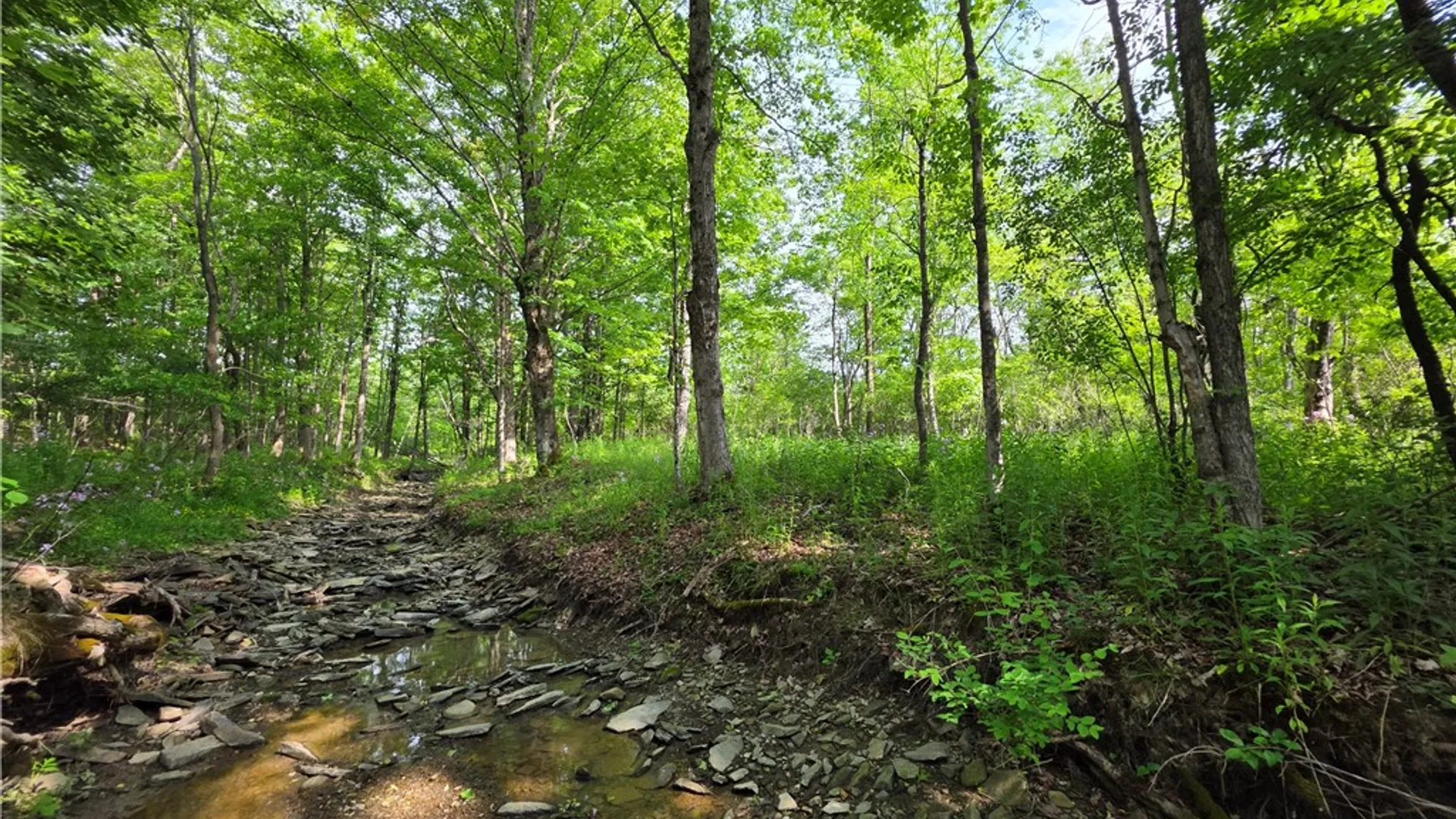 Property at Potter Road, Jasper, NY 14855 17