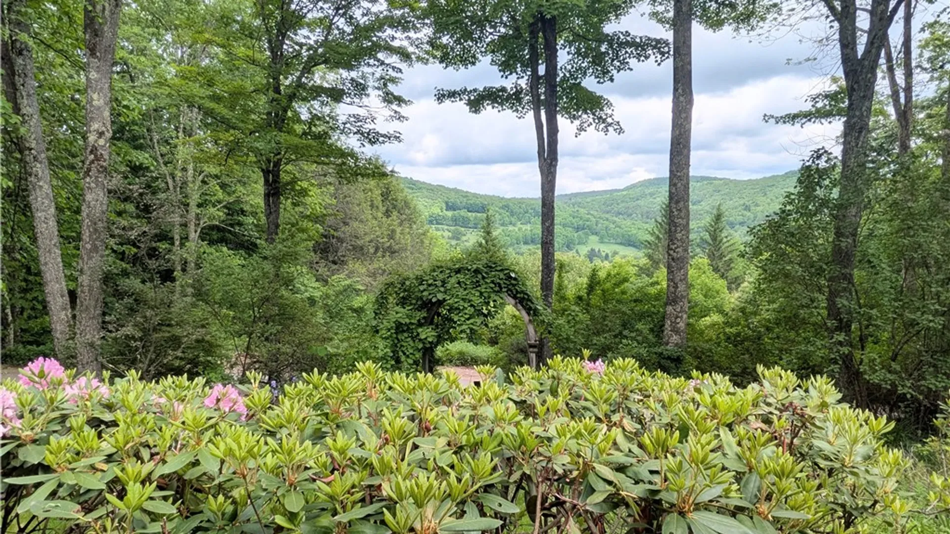 Property at 881 Thomson Cross Road, Delhi, NY 13753 3