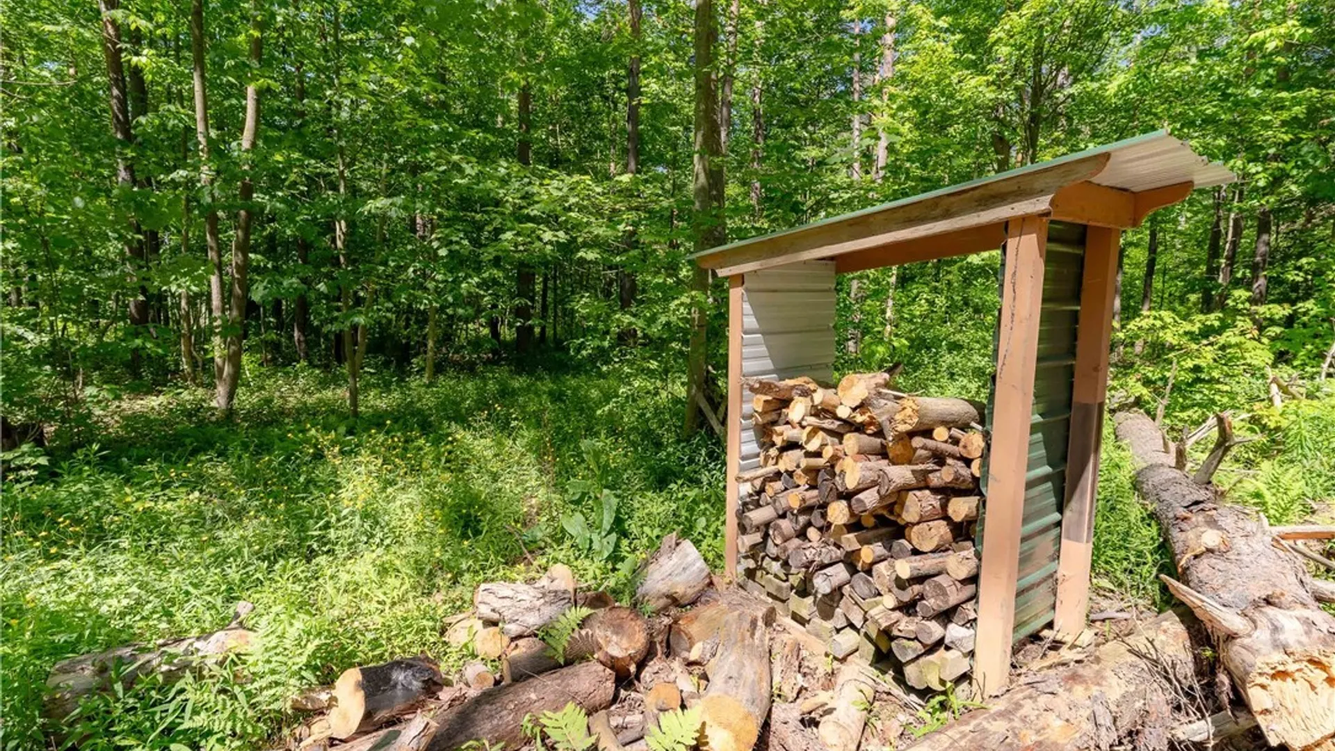 Property at 8804 Becker Road, Springwater, NY 14572 12
