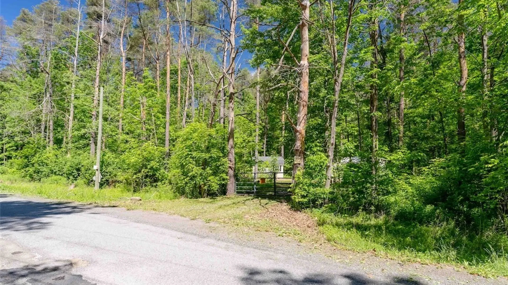 Property at 8804 Becker Road, Springwater, NY 14572 23