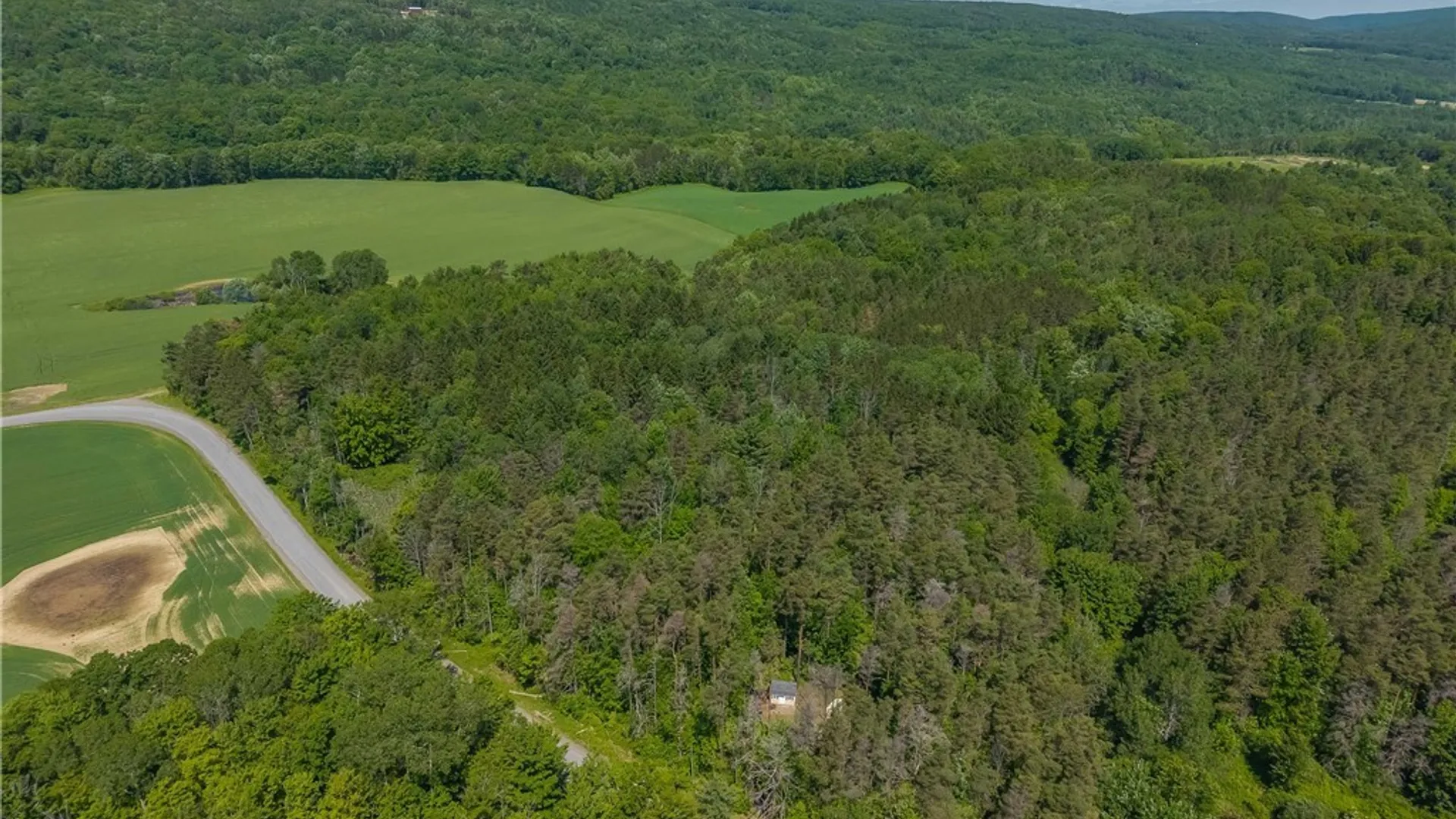 Property at 8804 Becker Road, Springwater, NY 14572 29