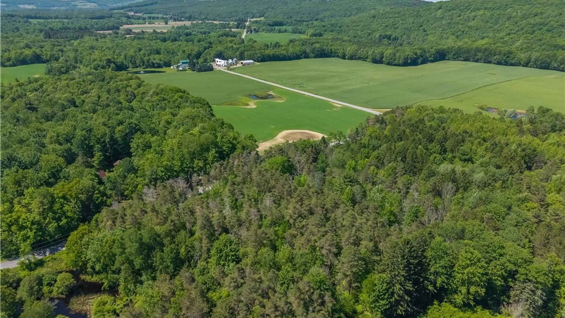 Property at 8804 Becker Road, Springwater, NY 14572 31