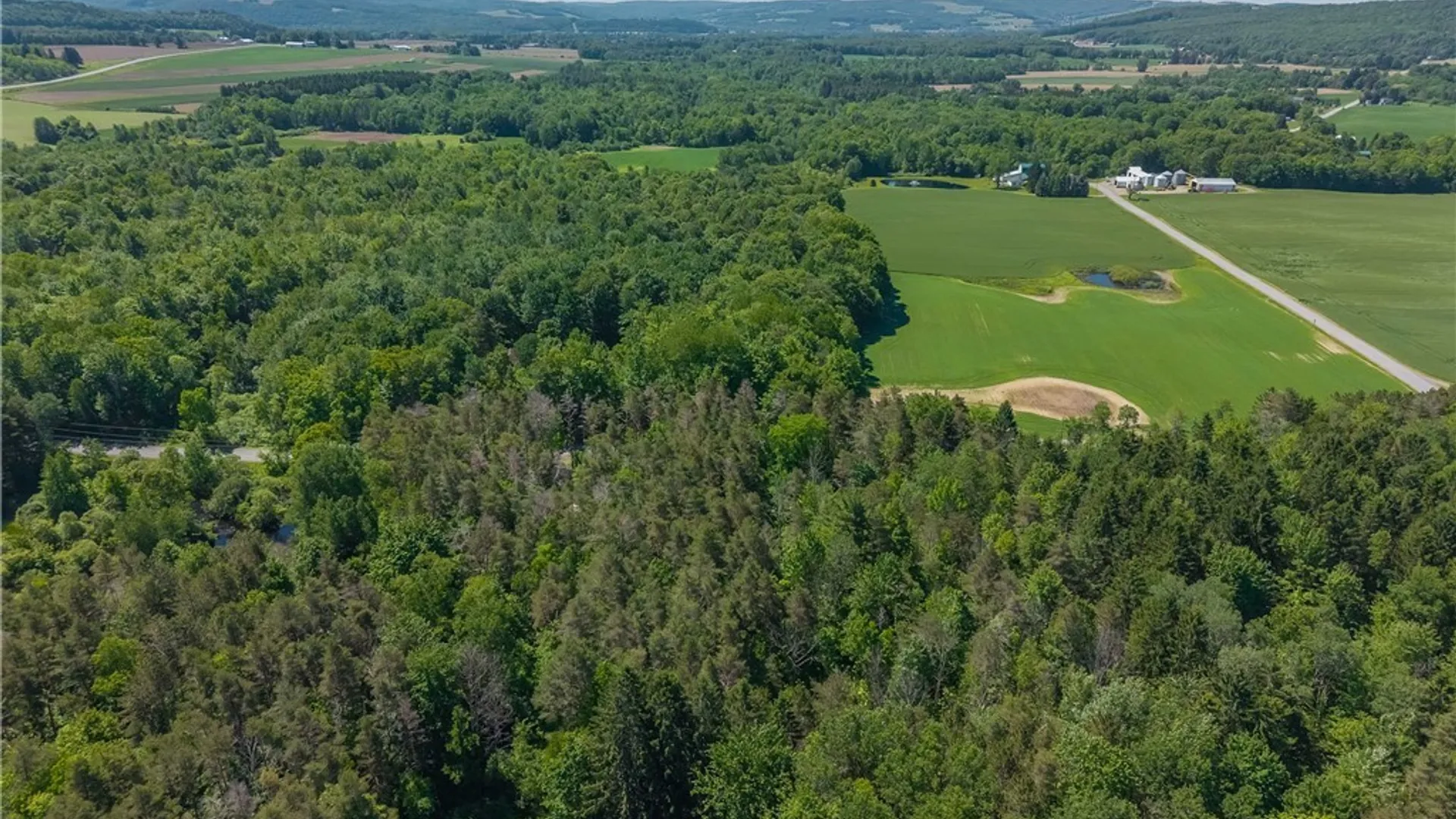 Property at 8804 Becker Road, Springwater, NY 14572 32
